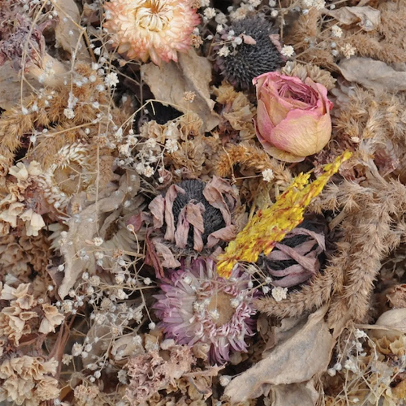 Drowse Cold Air Vinyl Record