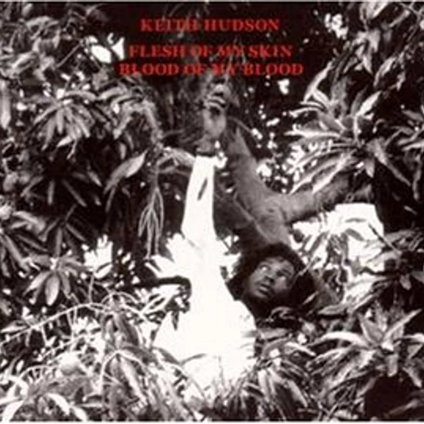 Keith Hudson Flesh Of My Skin Blood Of My Blood Vinyl Record