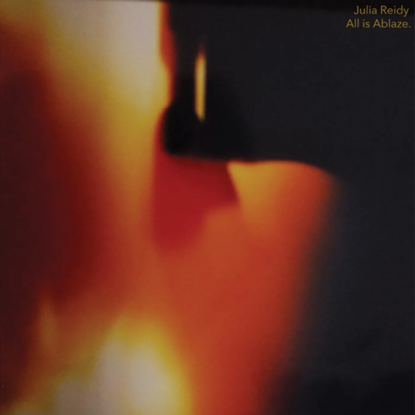 Julia Reidy All Is Ablaze Vinyl Record