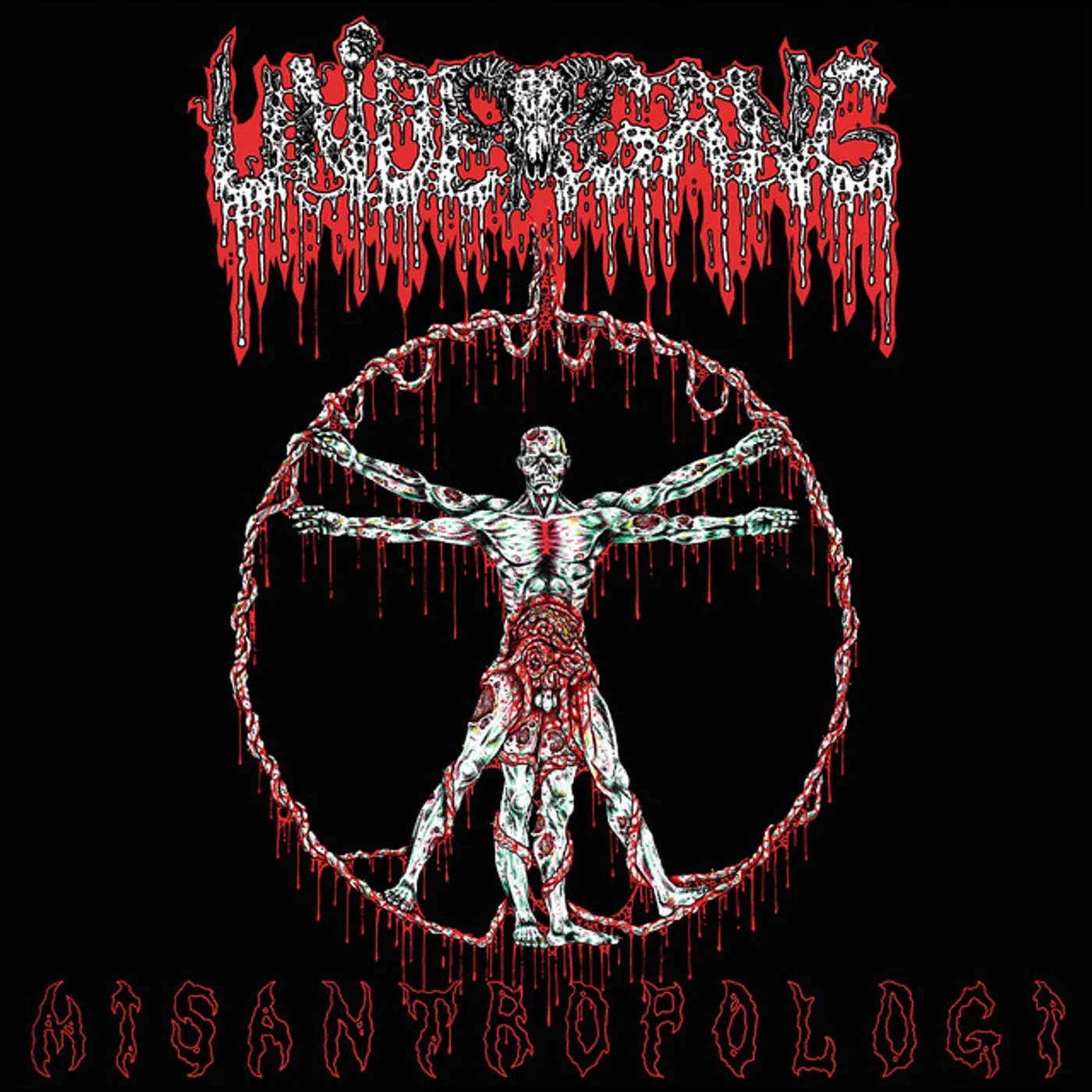 Undergang Misantropologi Vinyl Record