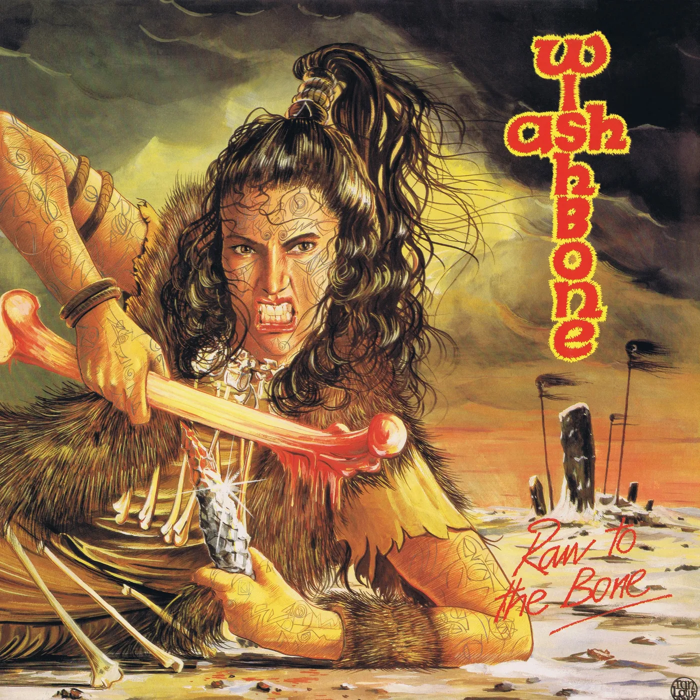 Wishbone Ash RAW TO THE BONE CD