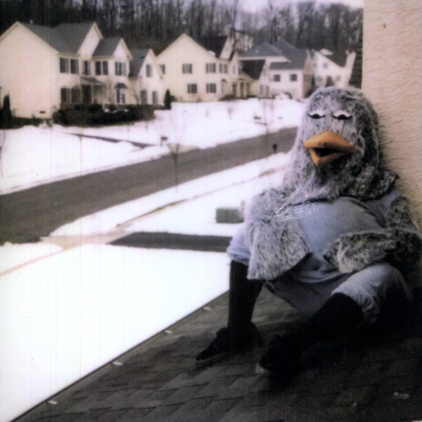 The Wonder Years SUBURBIA I'VE GIVEN YOU ALL & NOW IM NOTHING Vinyl Record