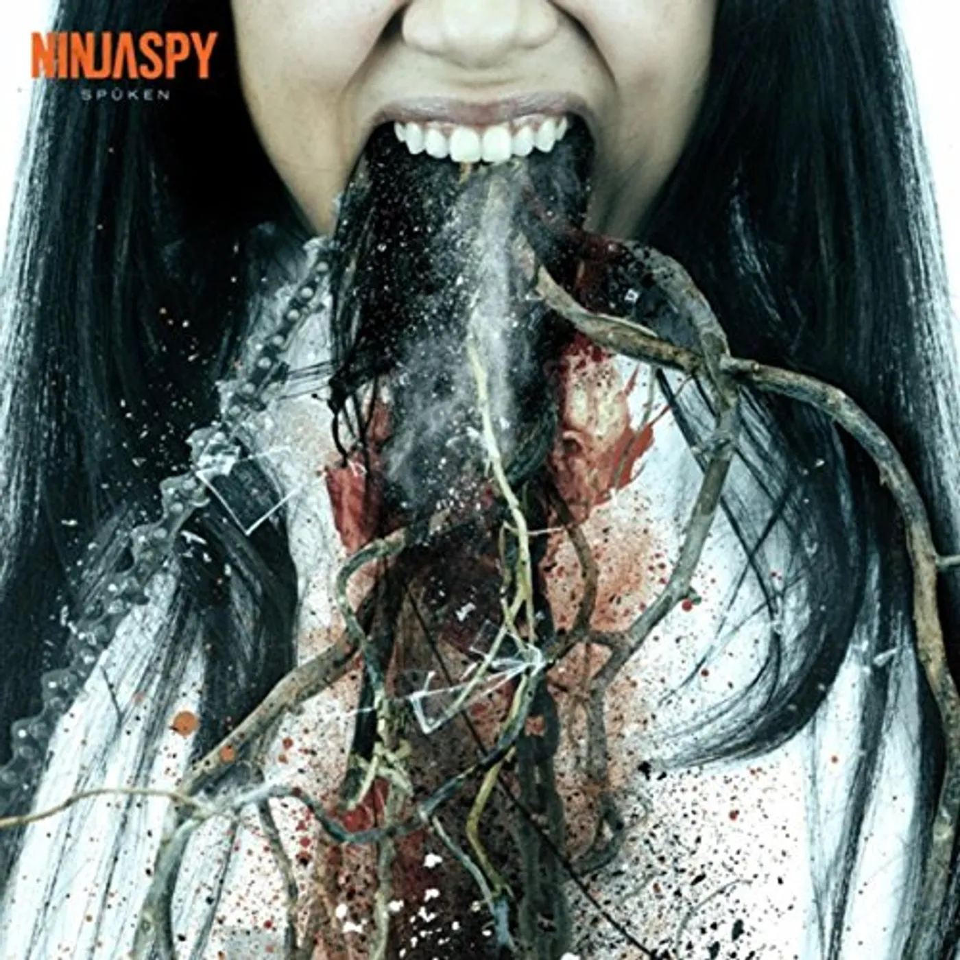 Ninjaspy SPUKEN CD