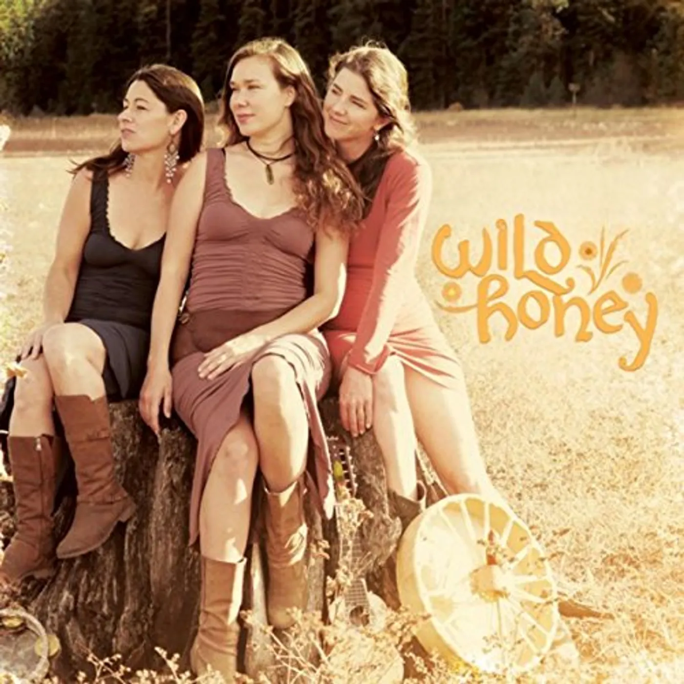 WILD HONEY CD