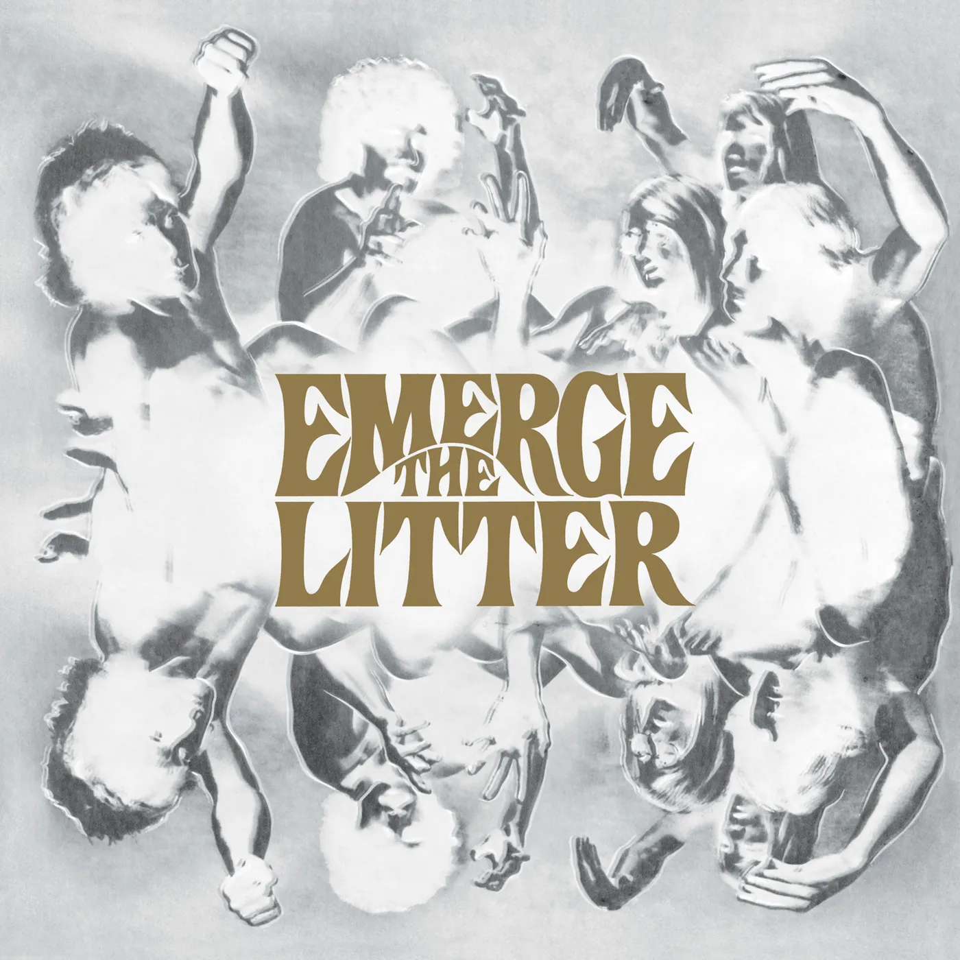 The Litter Emerge Vinyl Record