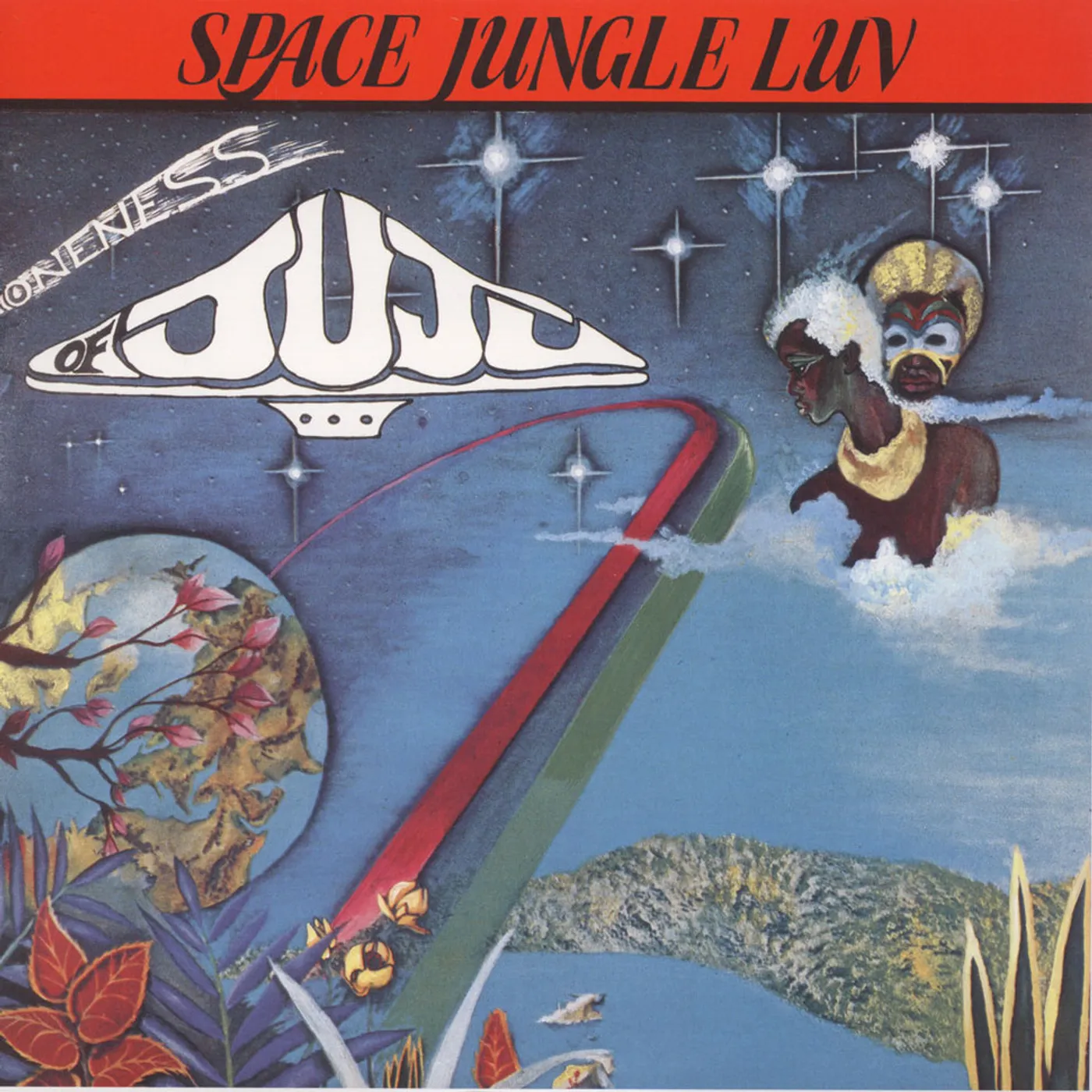 Oneness Of Juju Space Jungle Luv Vinyl Record