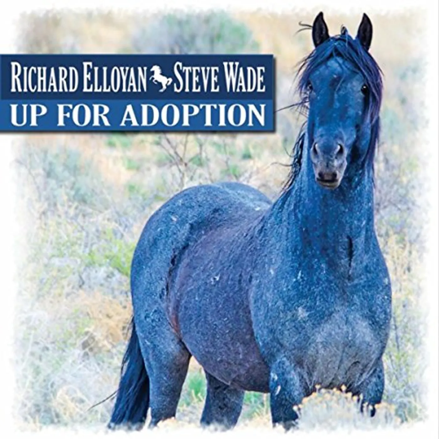 Richard Elloyan UP FOR ADOPTION CD