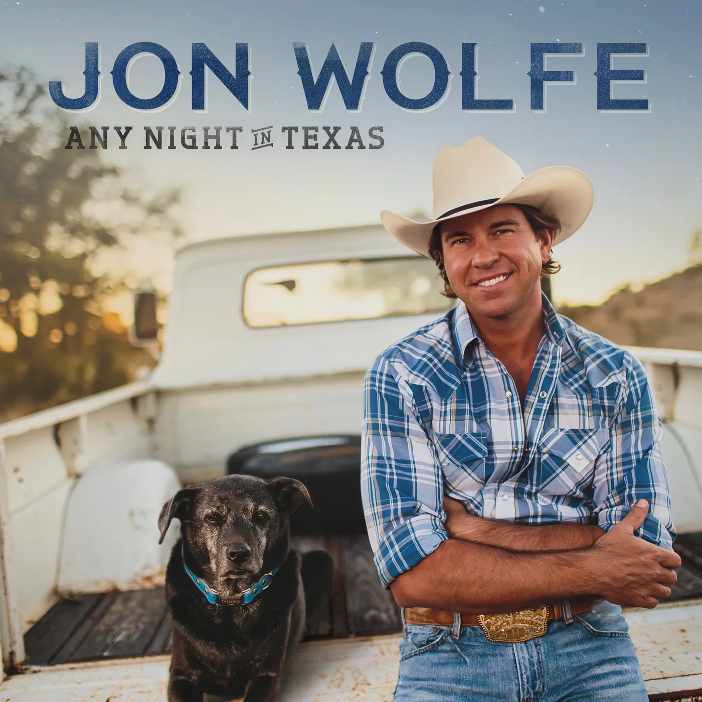 Jon Wolfe Any Night in Texas Vinyl Record