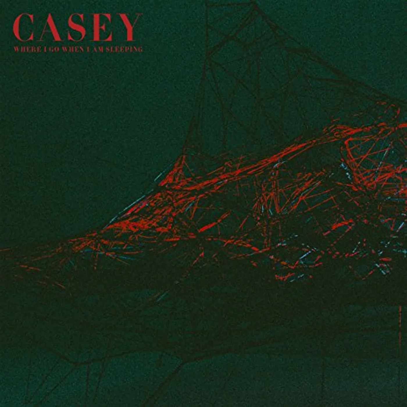 Casey Where I Go When I Am Sleeping Vinyl Record