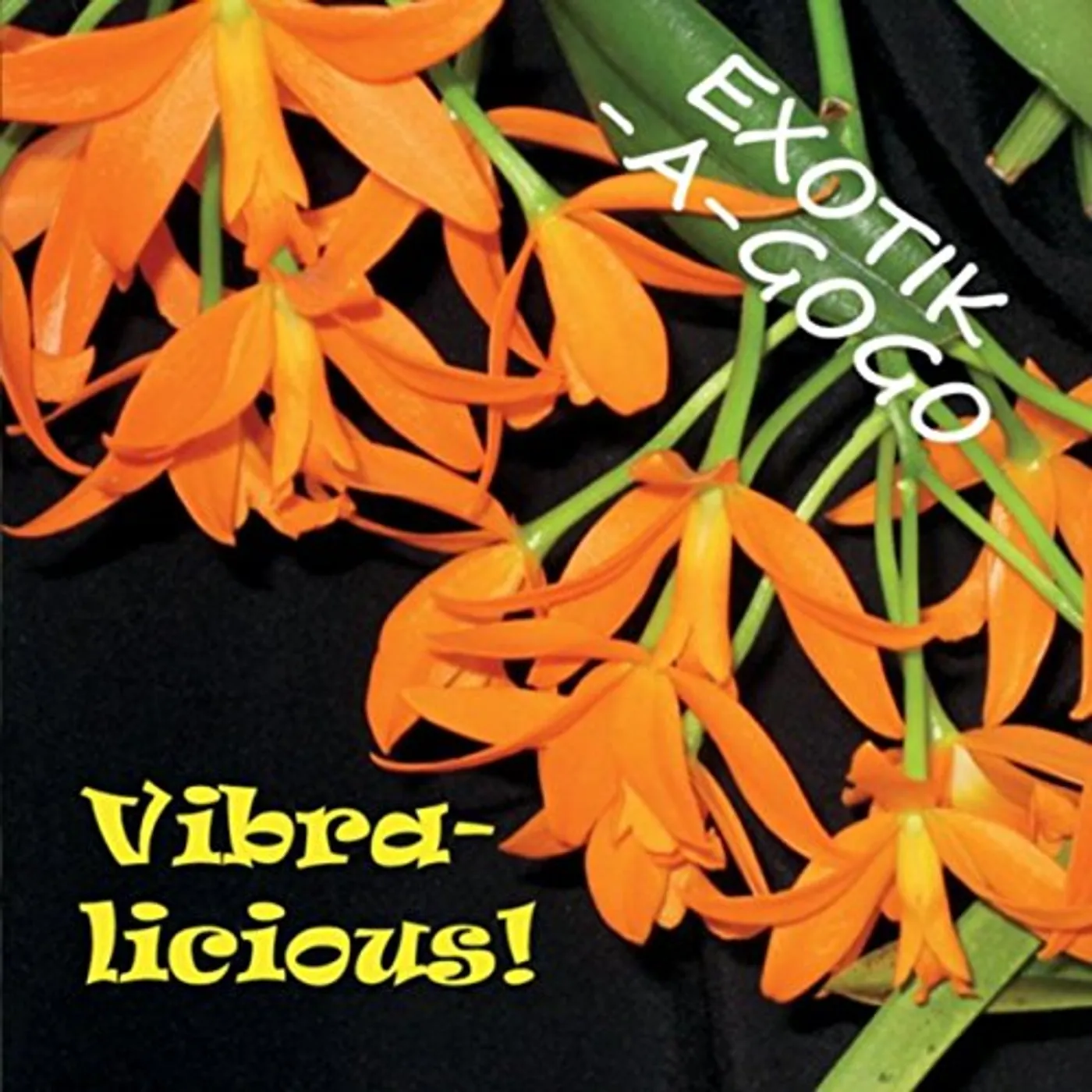 Exotik-A-GoGo VIBRALICIOUS CD