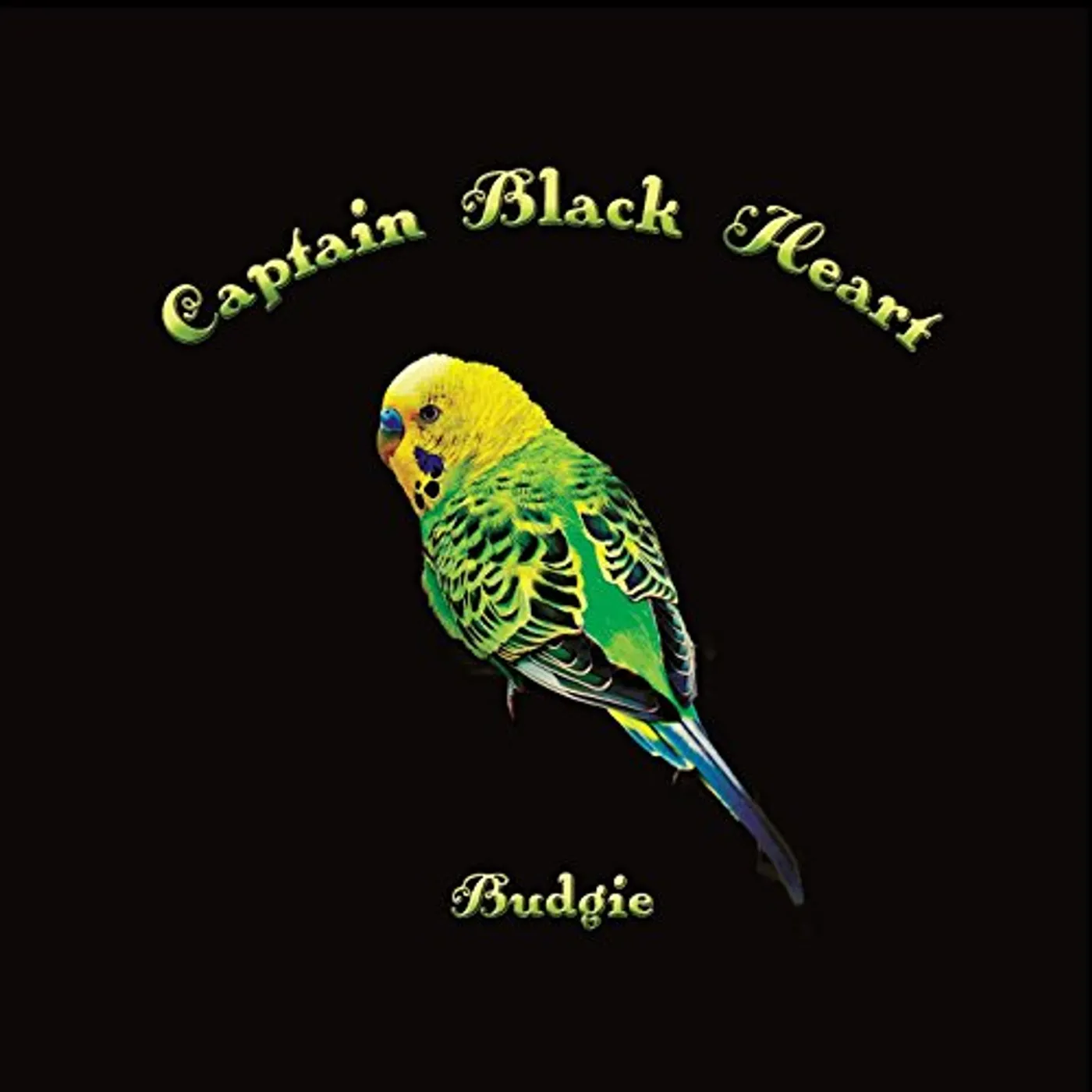 Captain Black Heart BUDGIE CD
