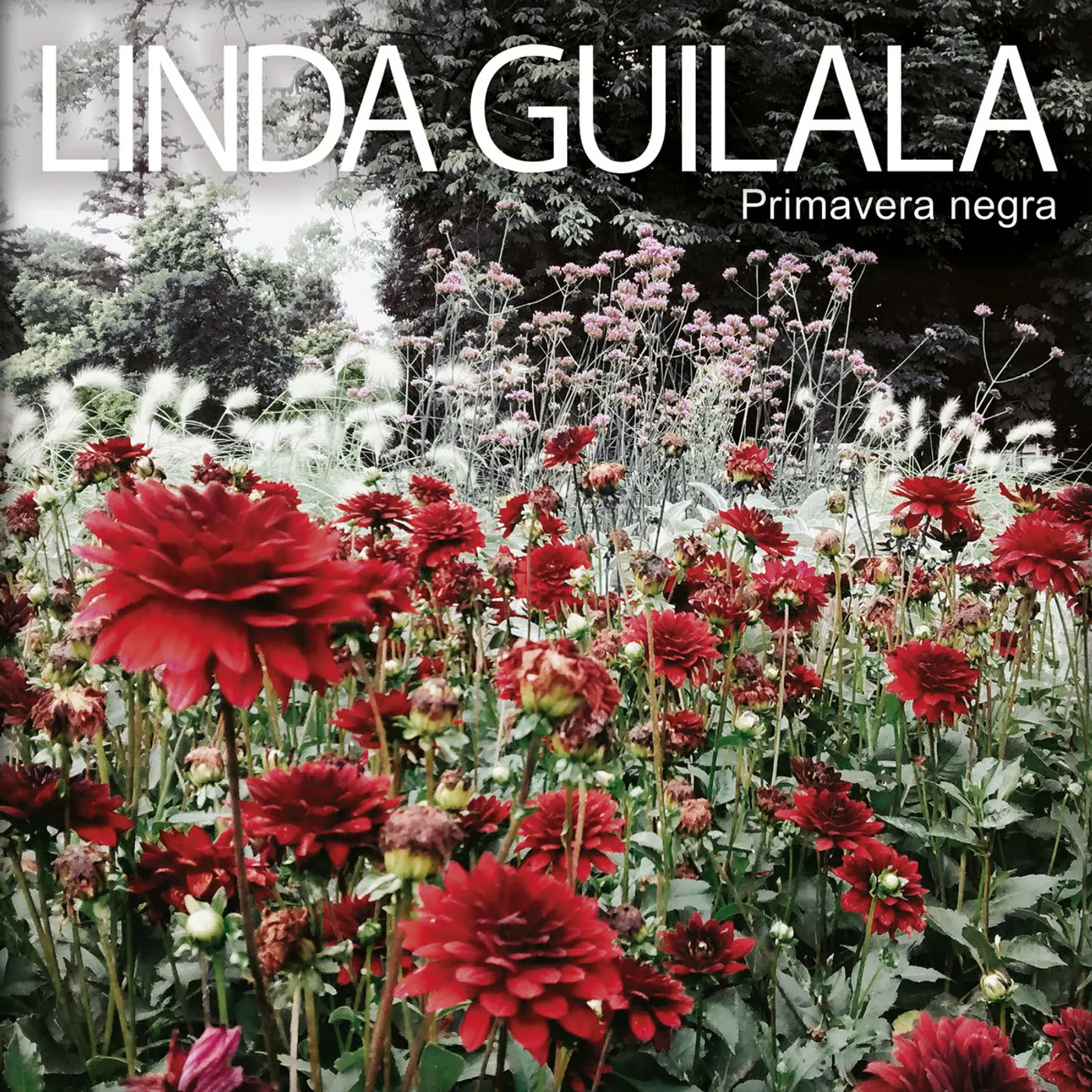 Linda Guilala Primavera Negra Vinyl Record