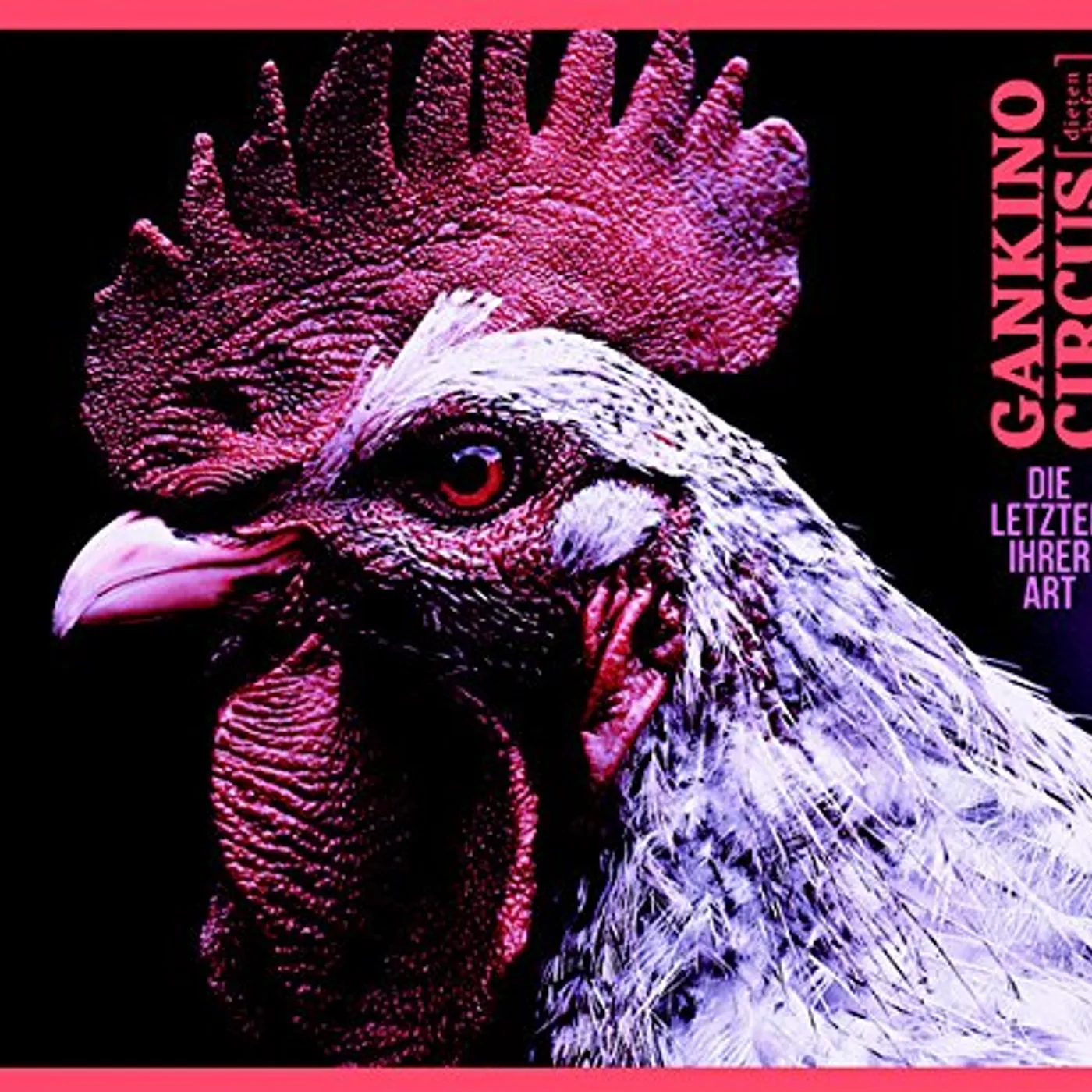 Gankino Circus DIE LETZEN IHRER ART CD