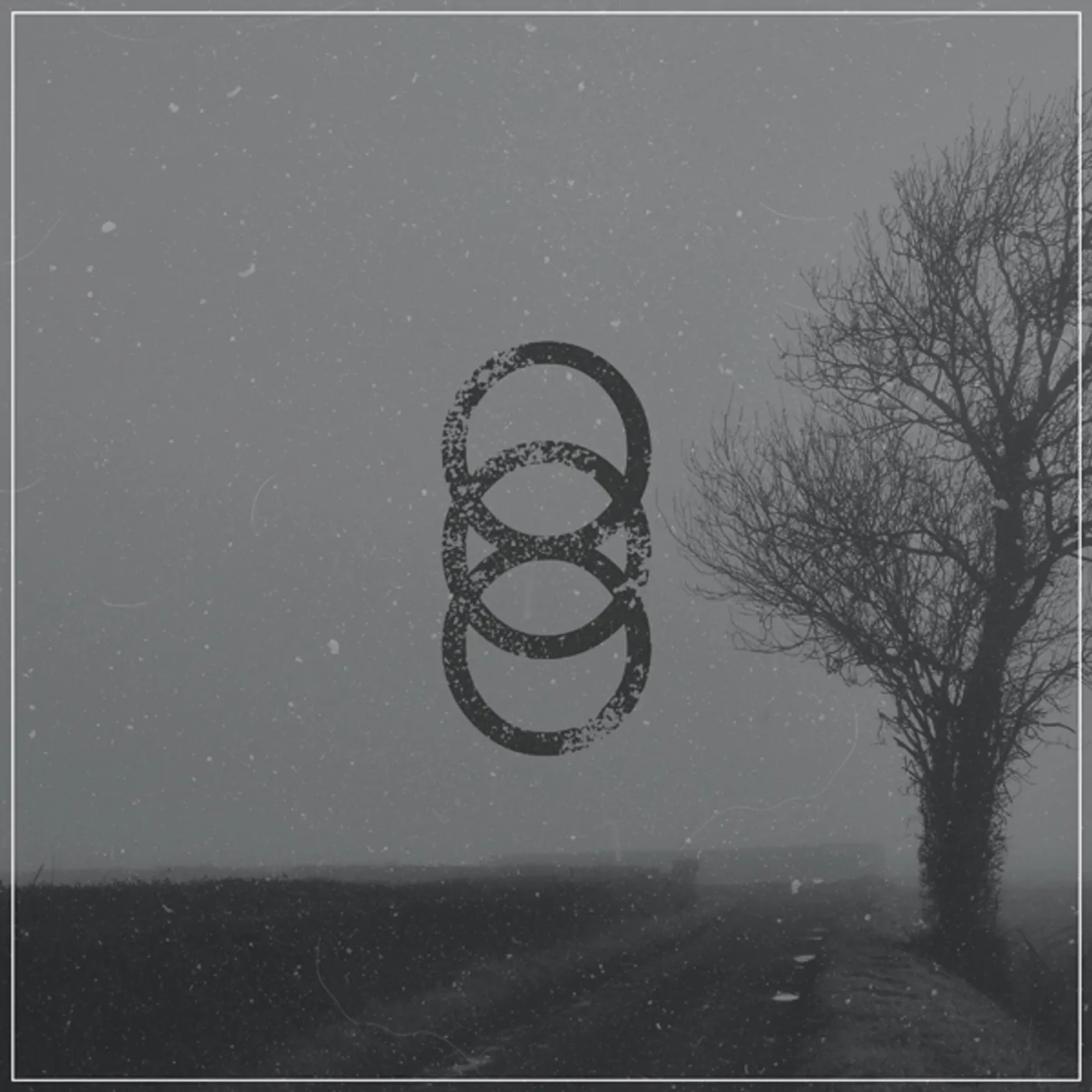 Hundred Year Old Man Rei Vinyl Record