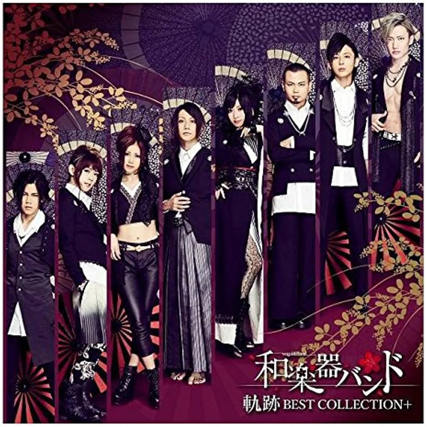 WagakkiBand KISEKI BEST COLLECTION: VERSION B CD