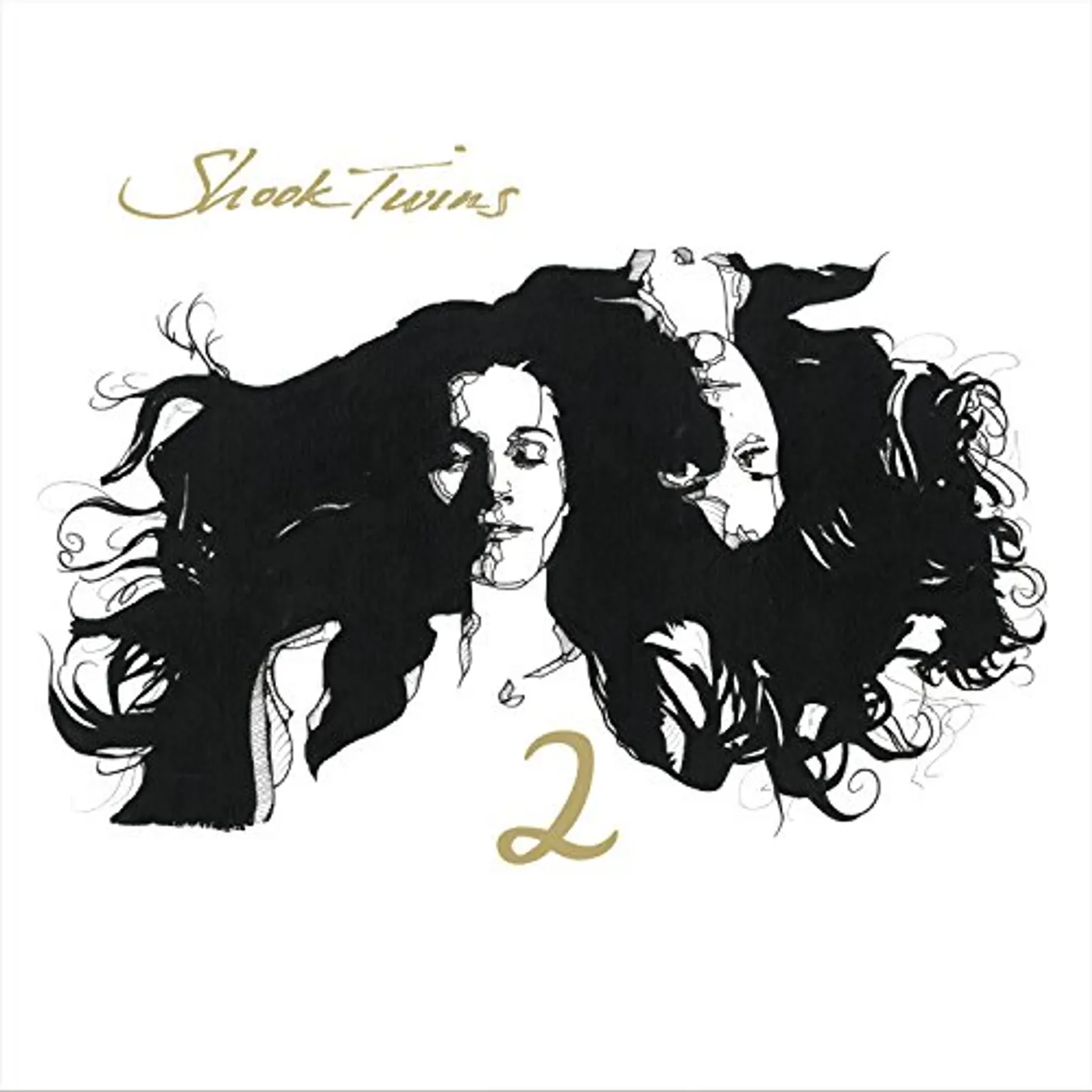 Shook Twins 2 CD