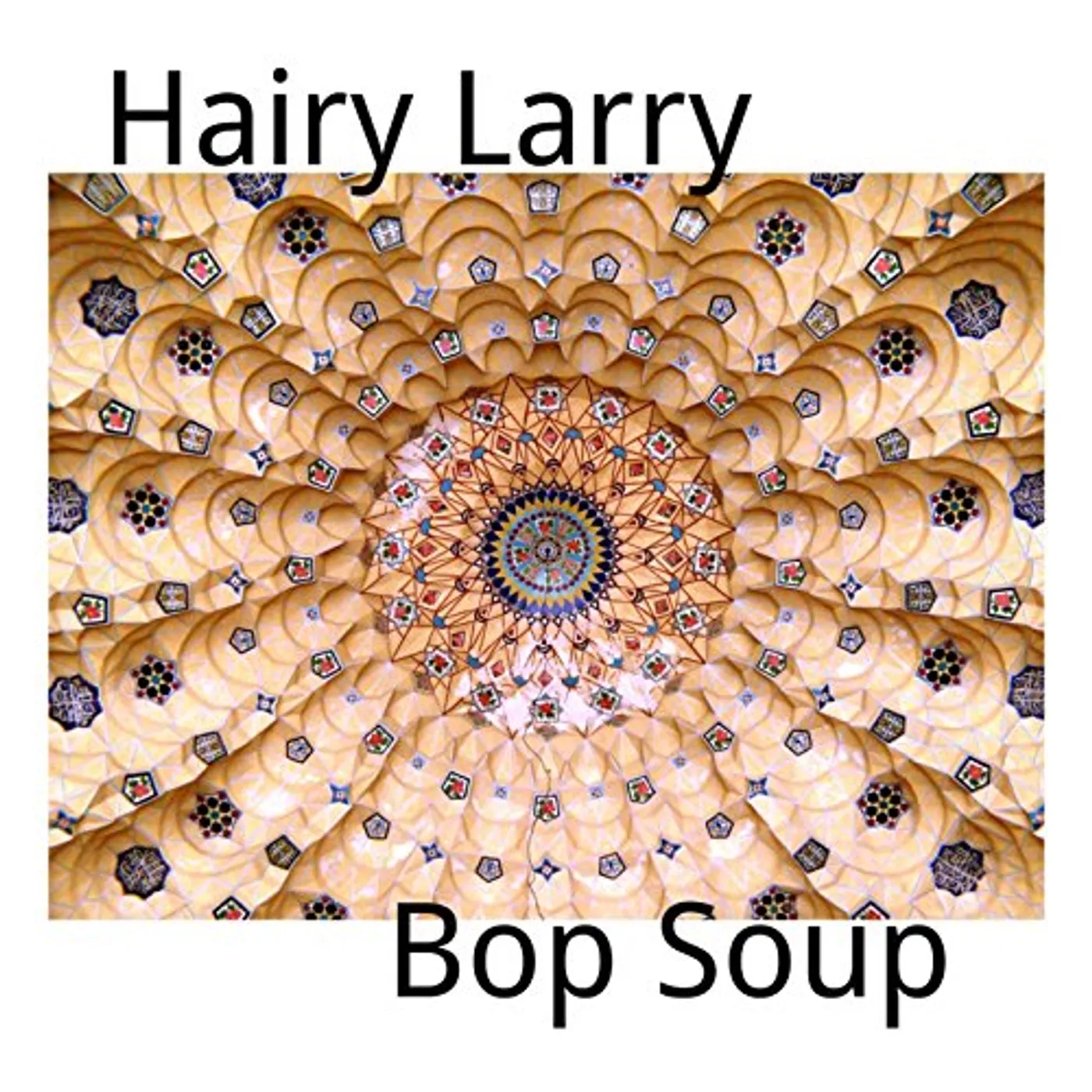 HAIRY LARRY BOP SOUP CD