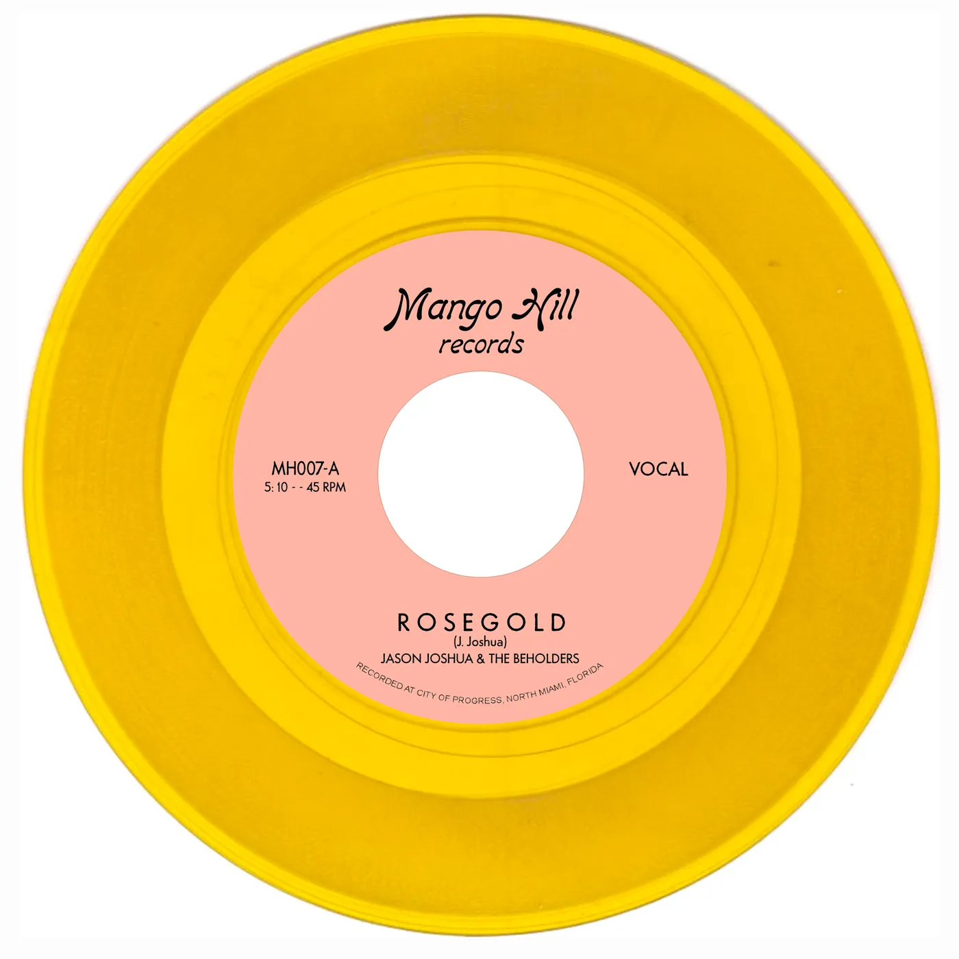 Jason Joshua & The Beholders Rose Gold Vinyl Record