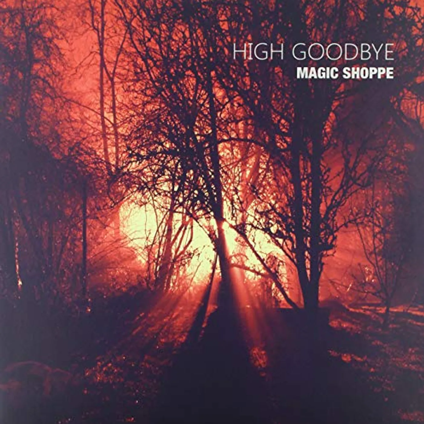 Magic Shoppe High Goodbye Vinyl Record