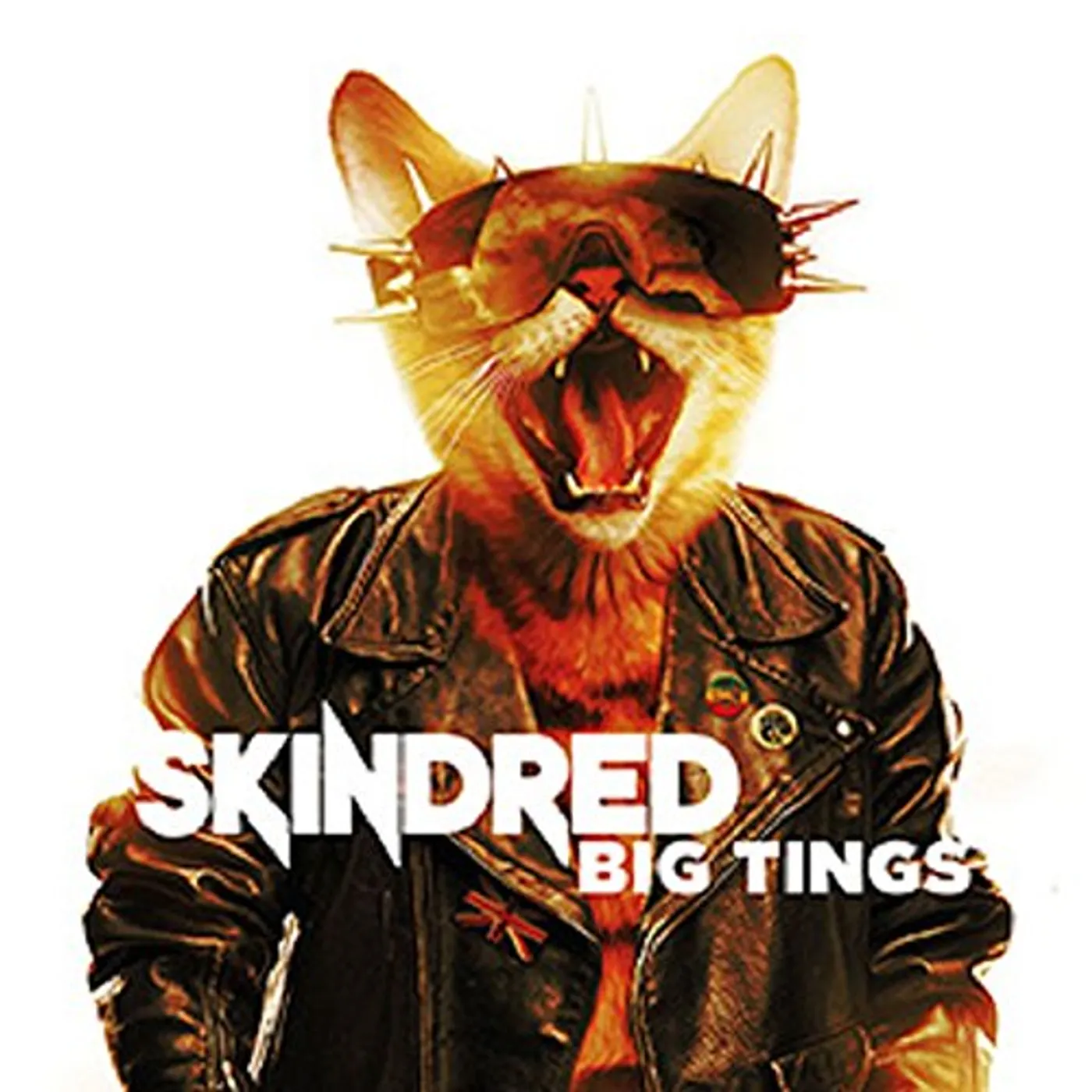 Skindred Big Tings Vinyl Record