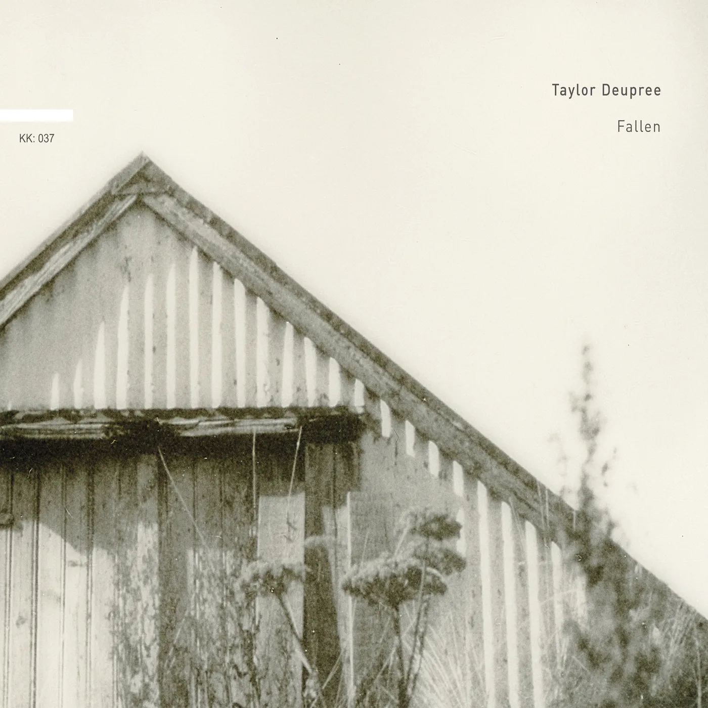 Taylor Deupree FALLEN CD