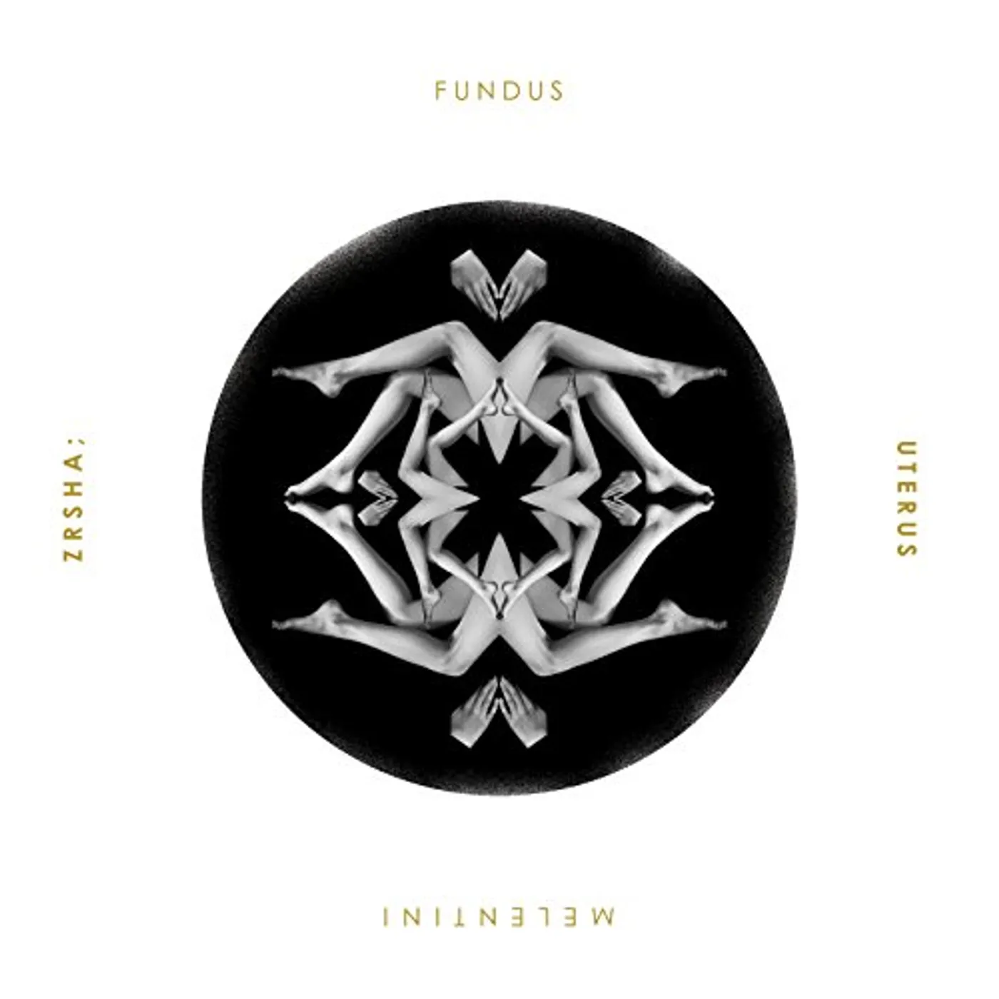 Melentini ZRSHA / FUNDUS UTERUS Vinyl Record