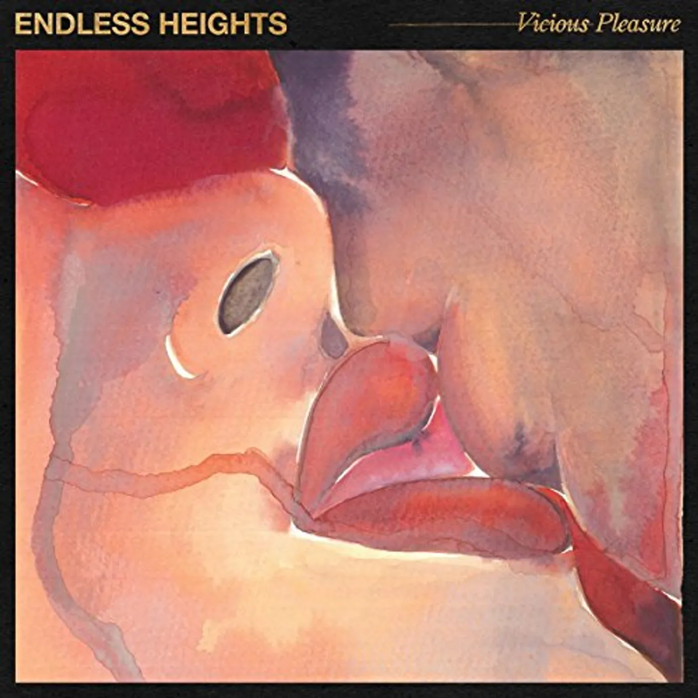 Endless Heights Vicious Pleasure Vinyl Record