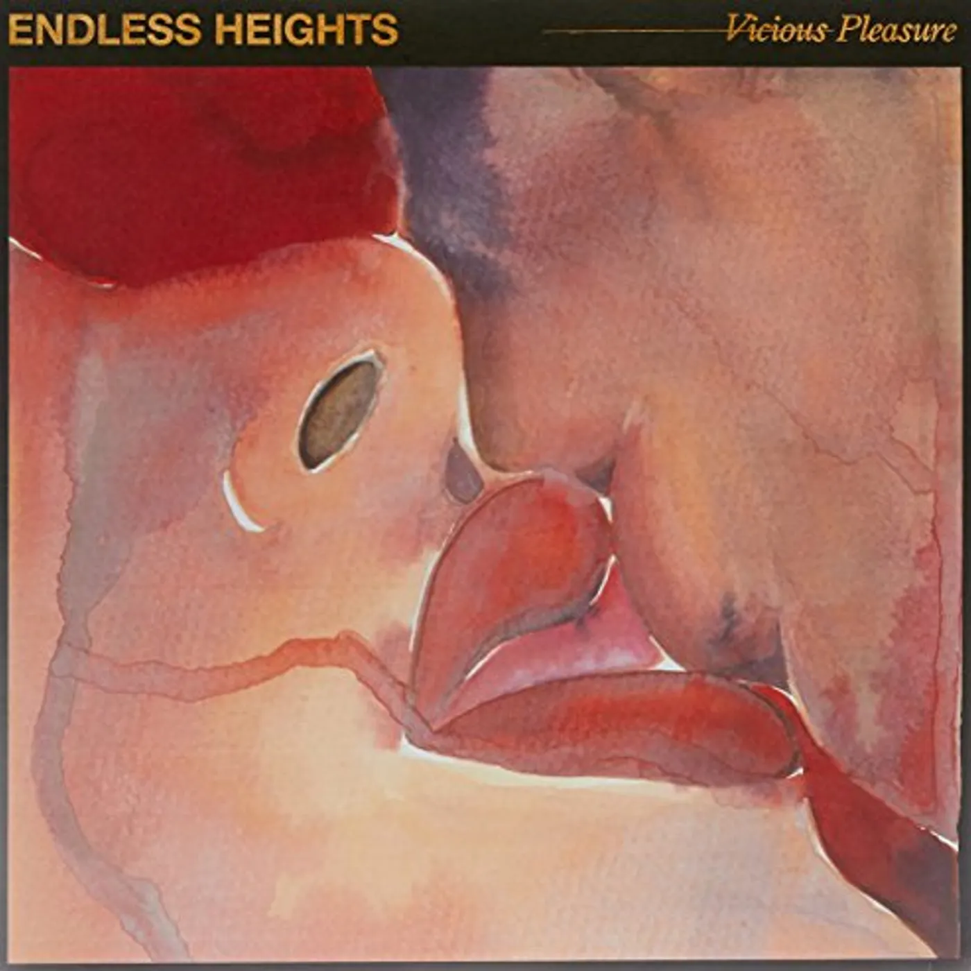 Endless Heights Vicious Pleasure Vinyl Record