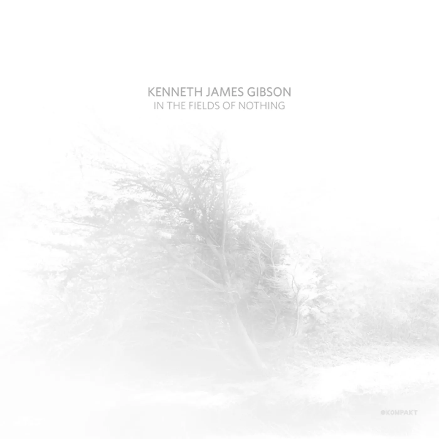 Kenneth James Gibson In The Fields Of Nothing Vinyl Record