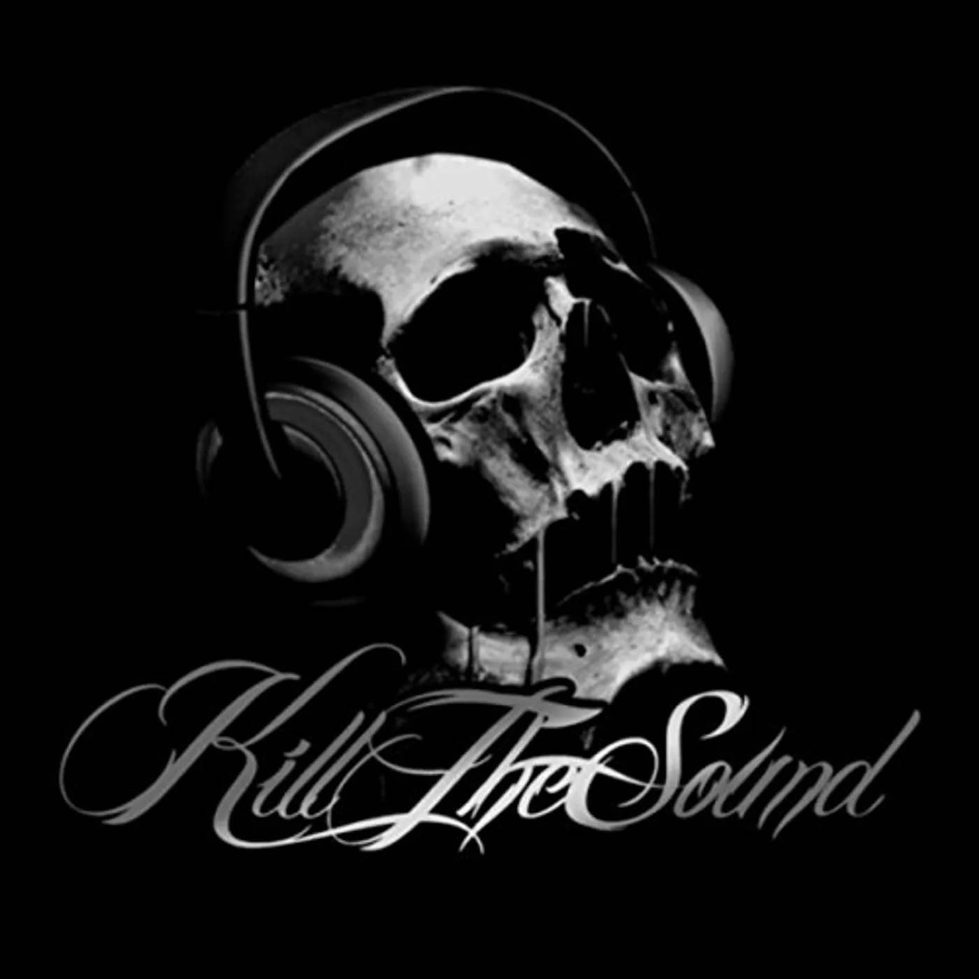 KILL THE SOUND CD