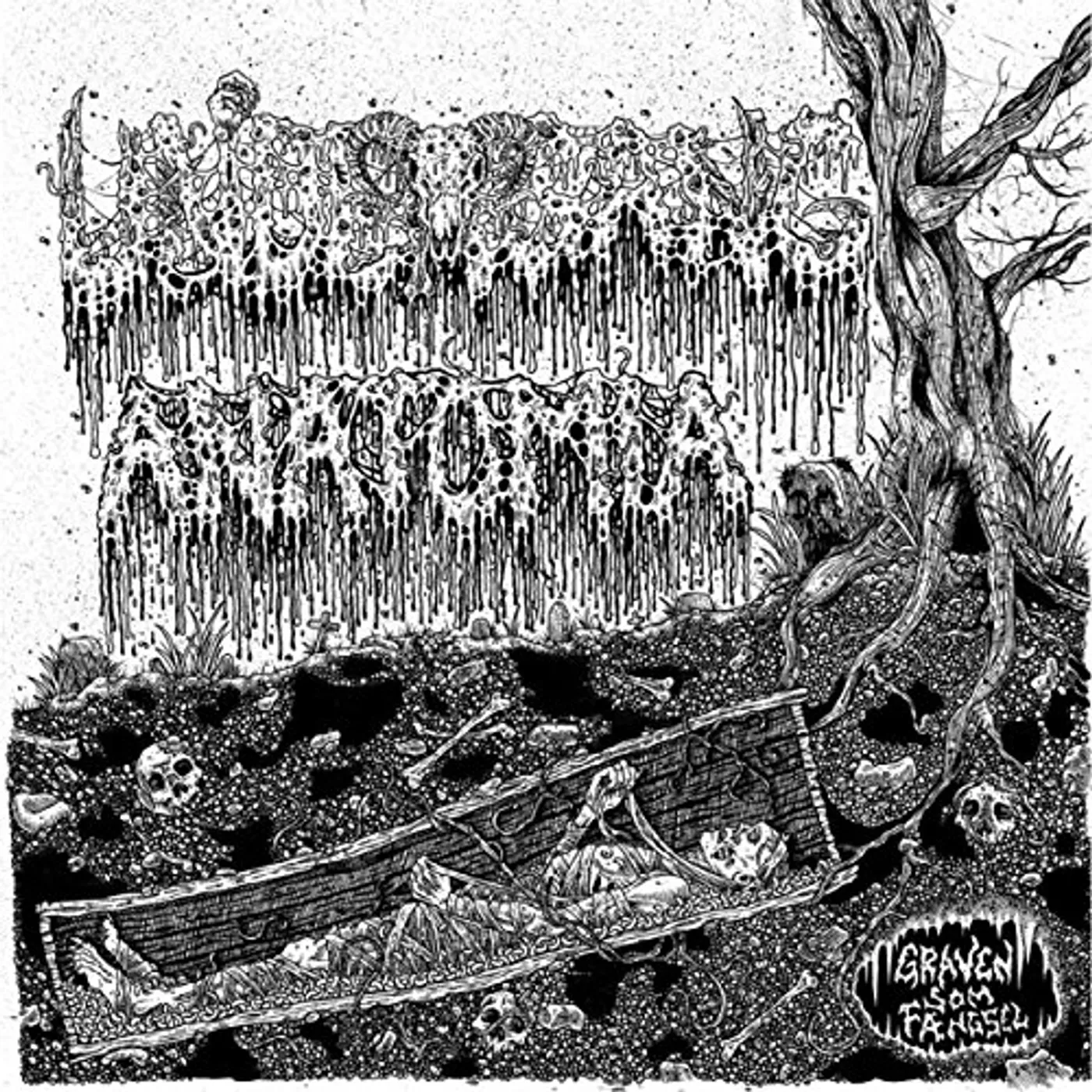 Anatomia Split Vinyl Record