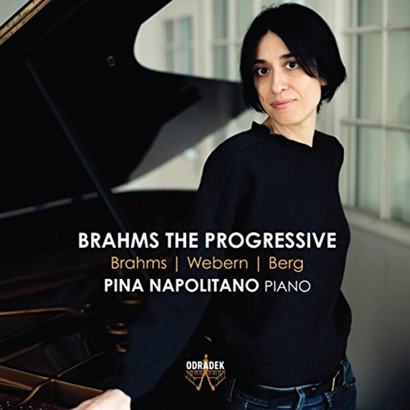 Pina Napolitano BRAHMS THE PROGRESSIVE CD