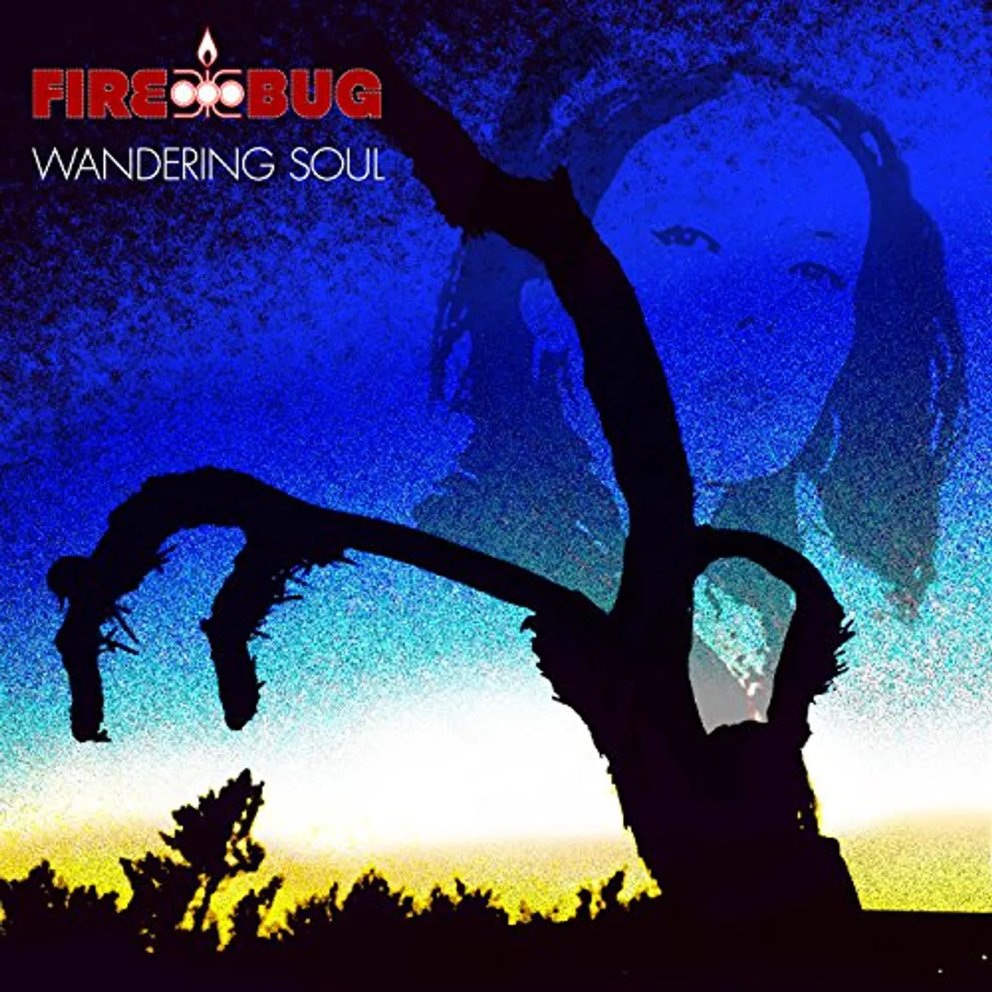 Firebug WANDERING SOUL CD