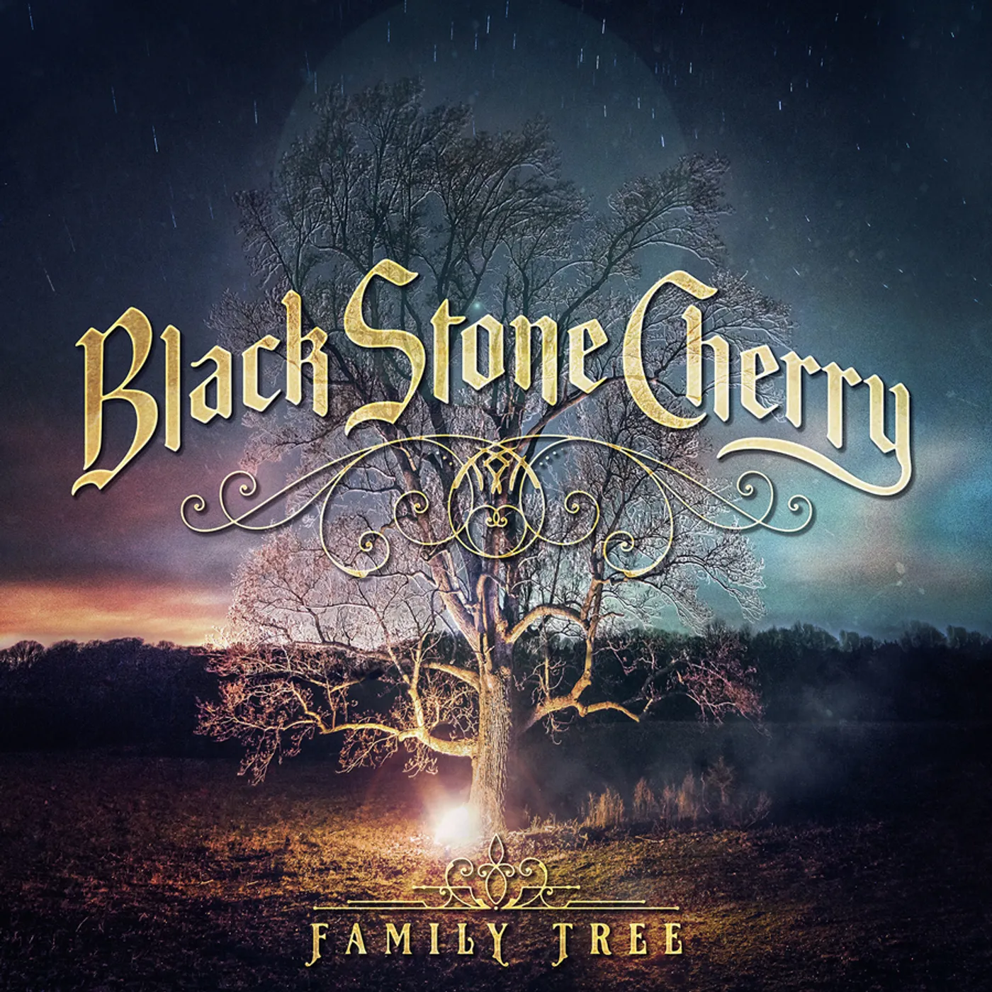 Black Stone Cherry FAMILY TREE CD