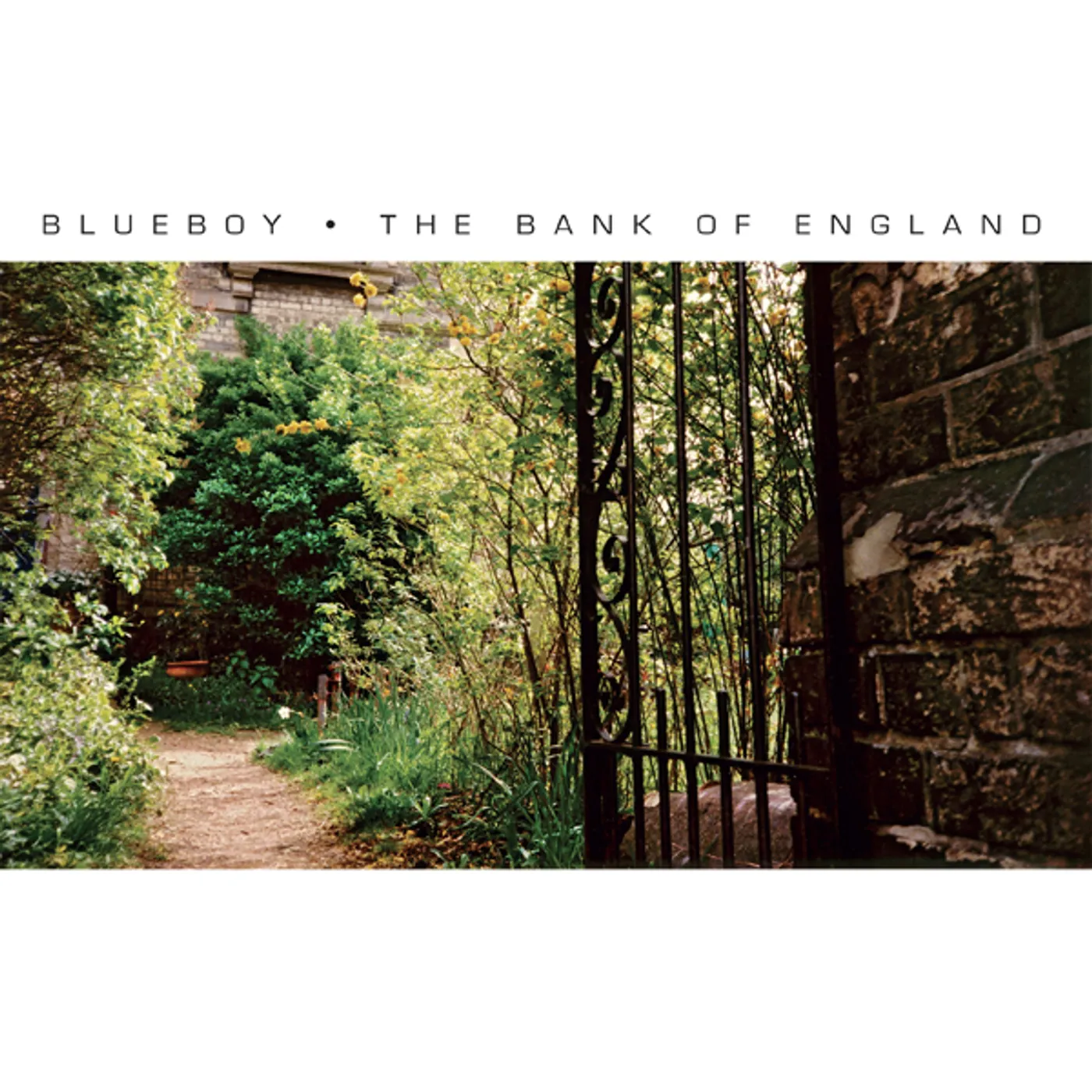 Blueboy BANK OF ENGLAND Vinyl Record