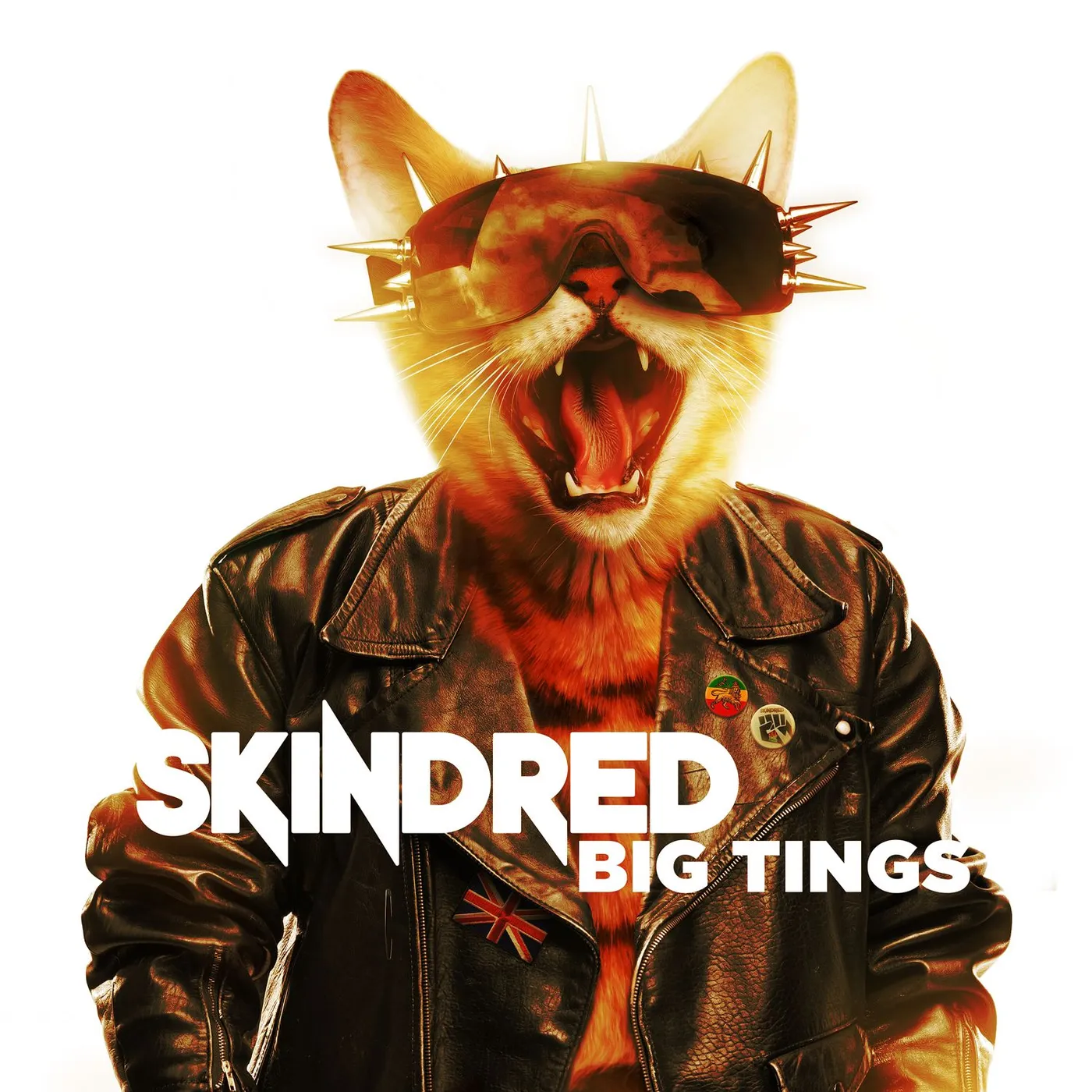 Skindred BIG TINGS CD