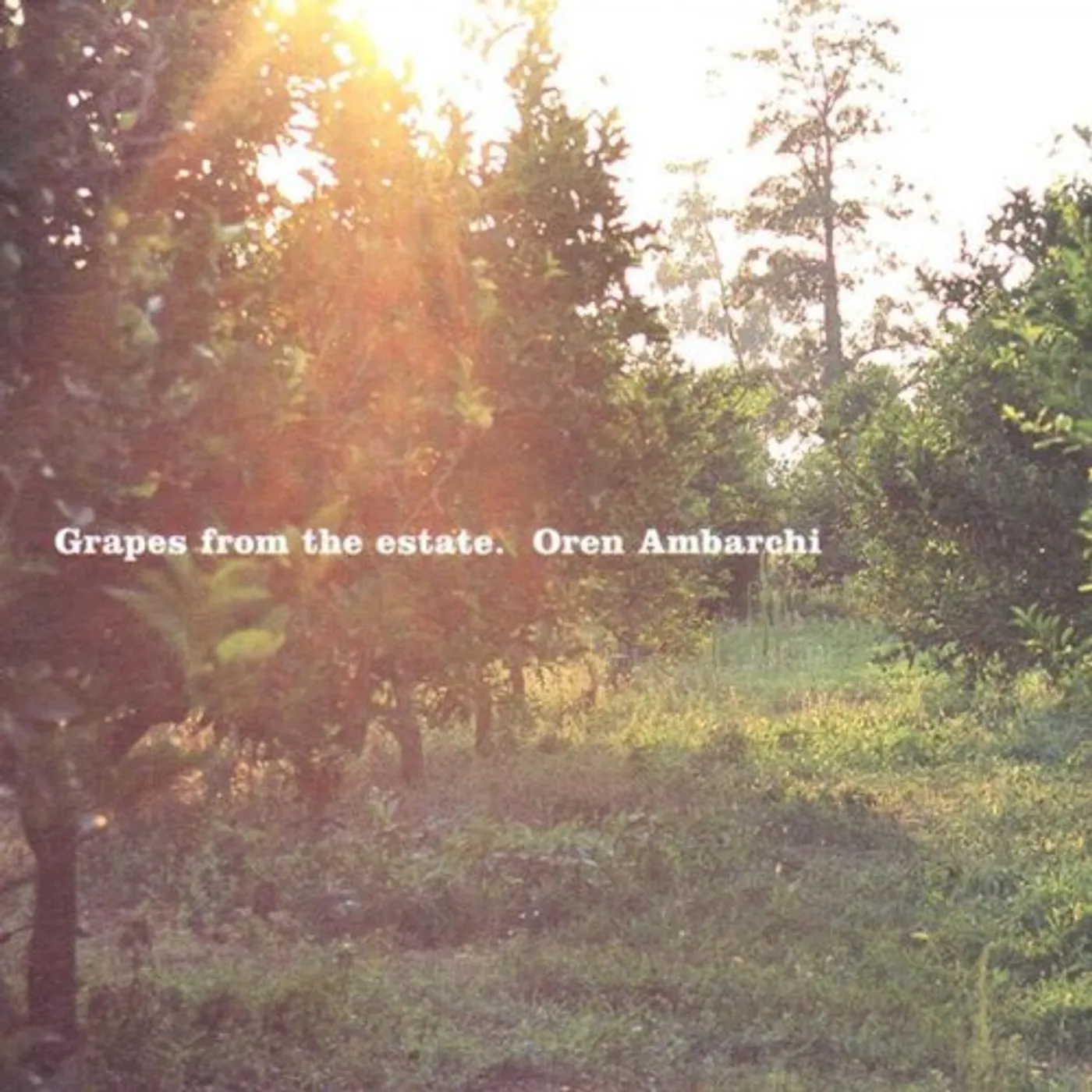 Oren Ambarchi Grapes from the Estate Vinyl Record