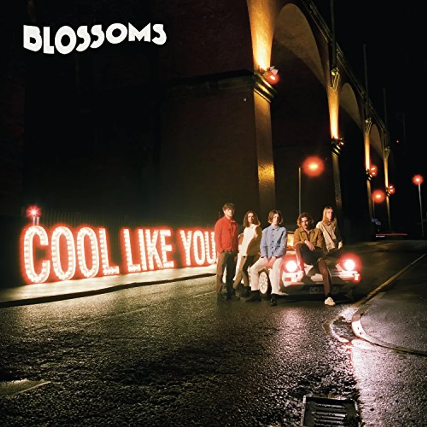 Blossoms COOL LIKE YOU CD