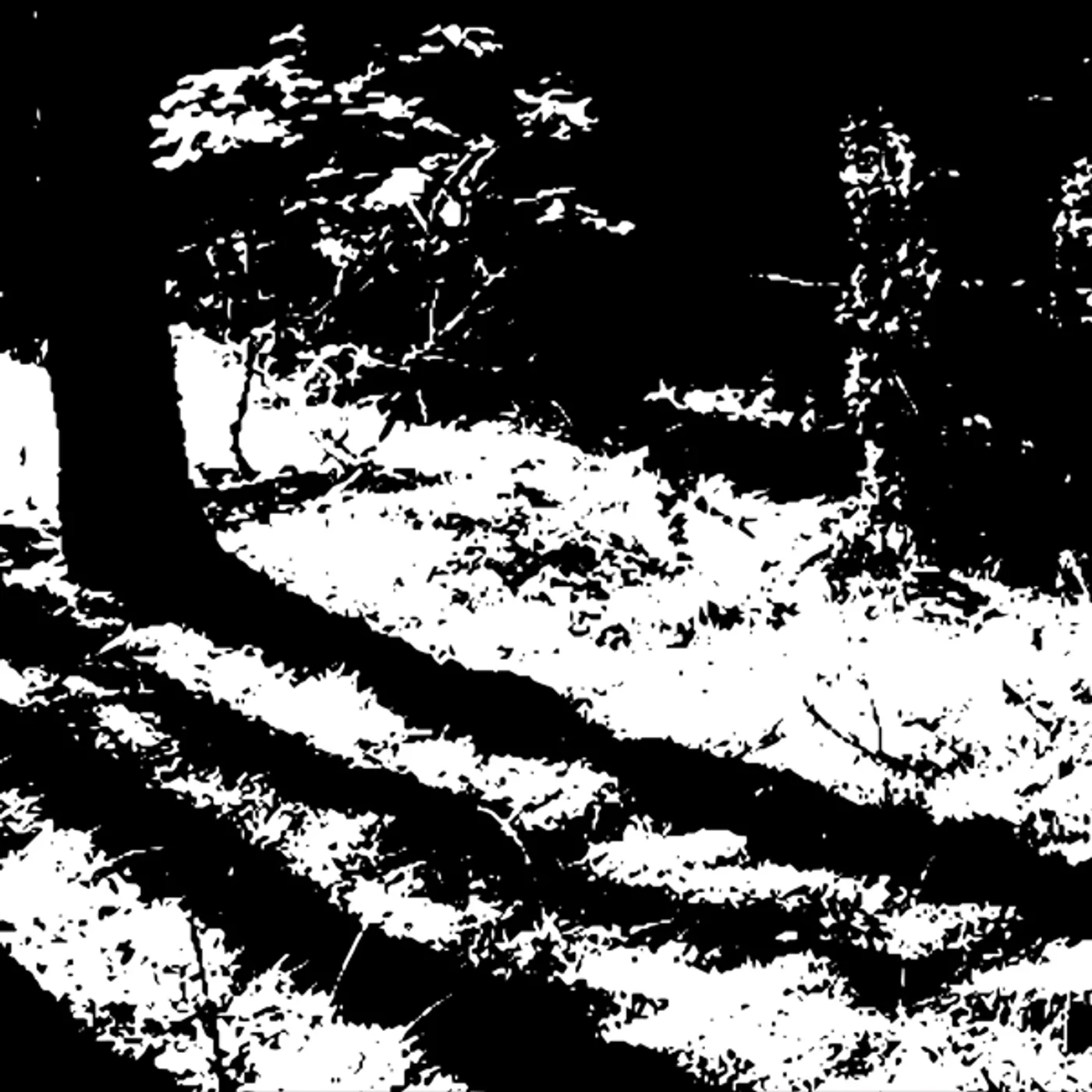 Reggy van Oers TRANSCRANIAL Vinyl Record