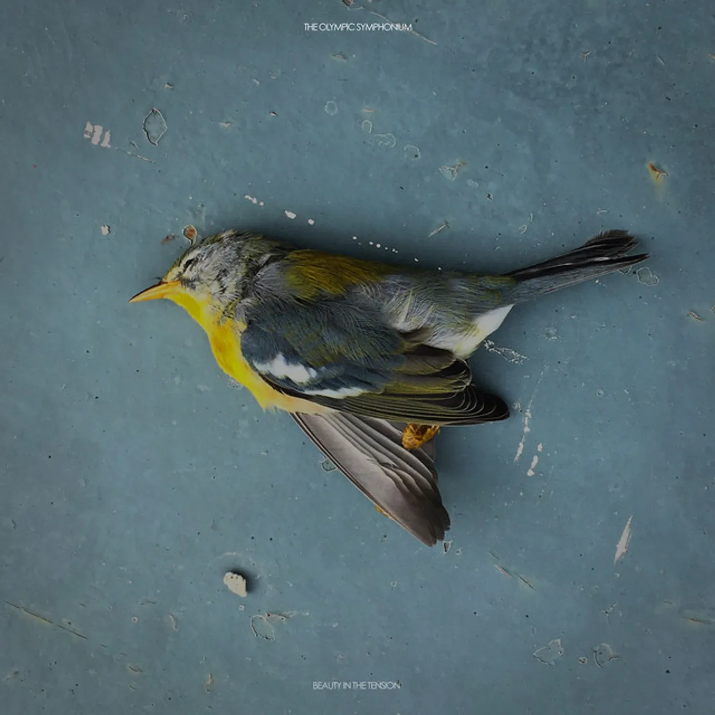 The Olympic Symphonium Beauty in the Tension Vinyl Record