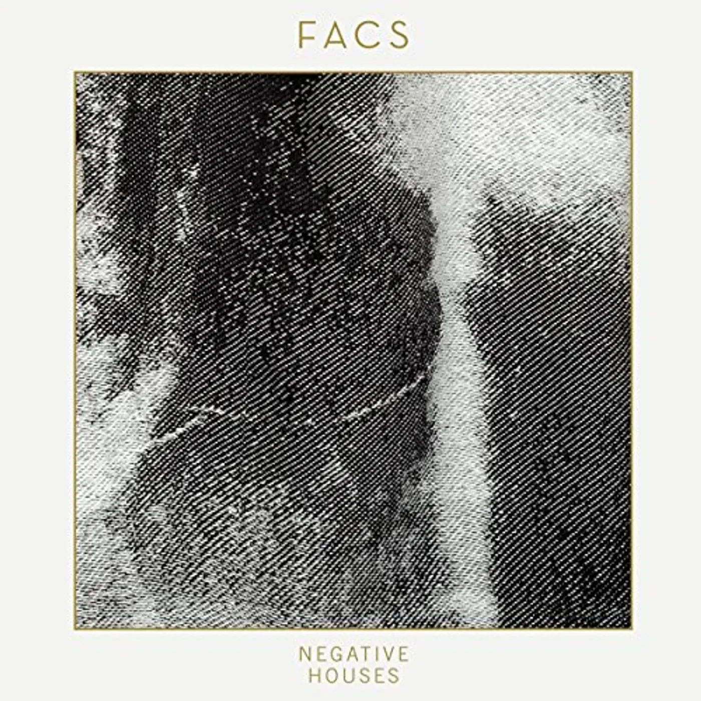 FACS Negative Houses Vinyl Record