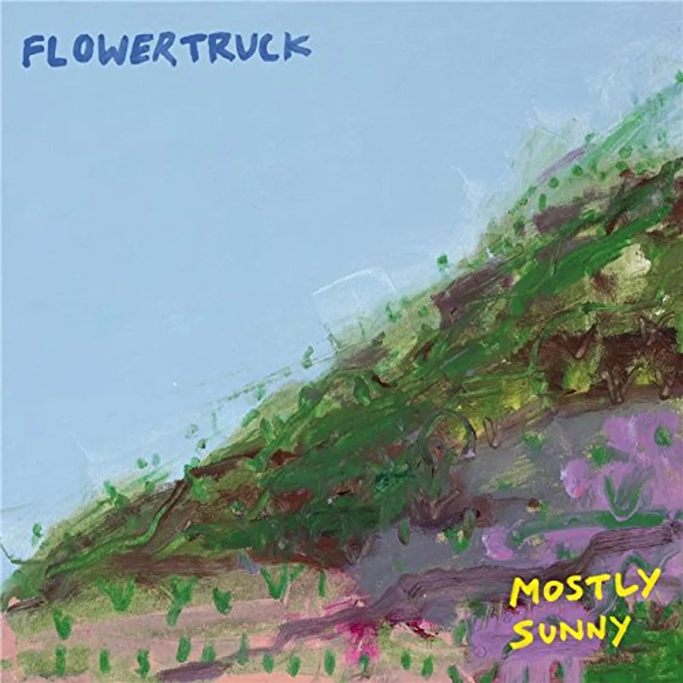 Flowertruck Mostly Sunny Vinyl Record