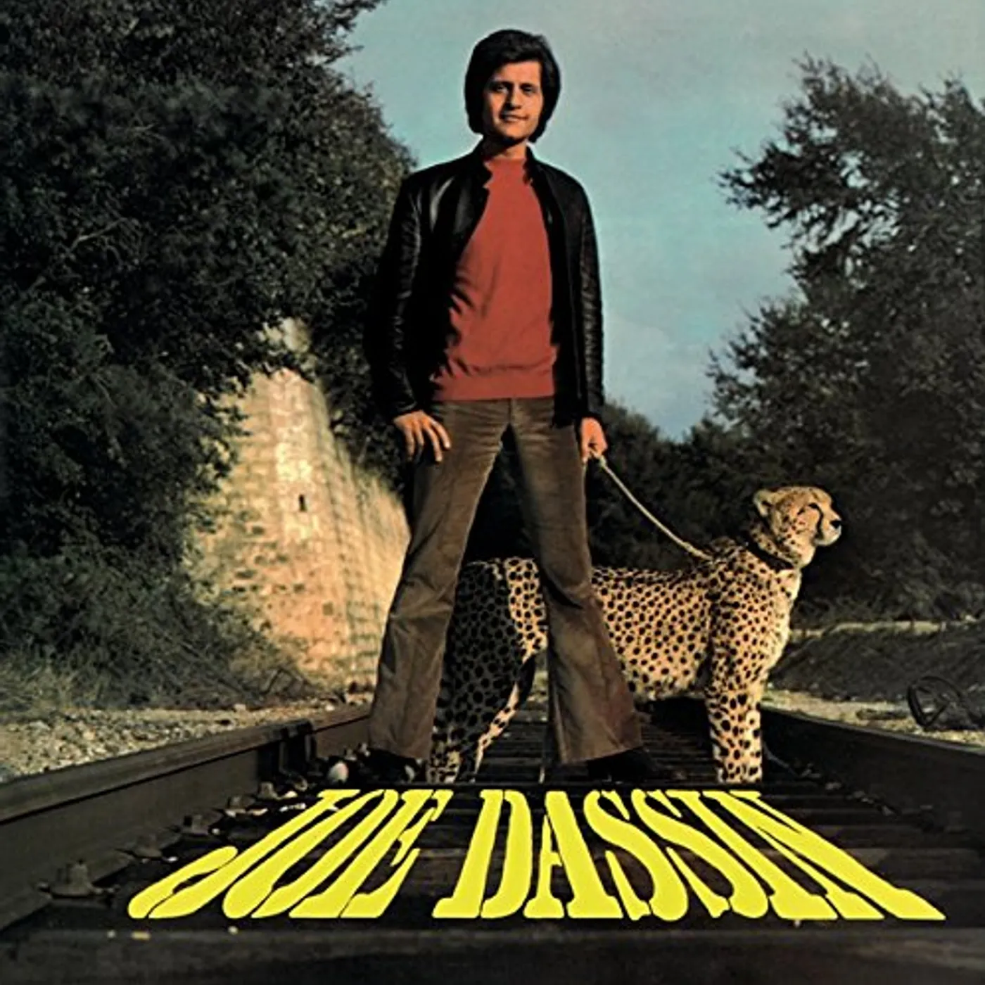 Joe Dassin La Fleur Aux Dents Vinyl Record