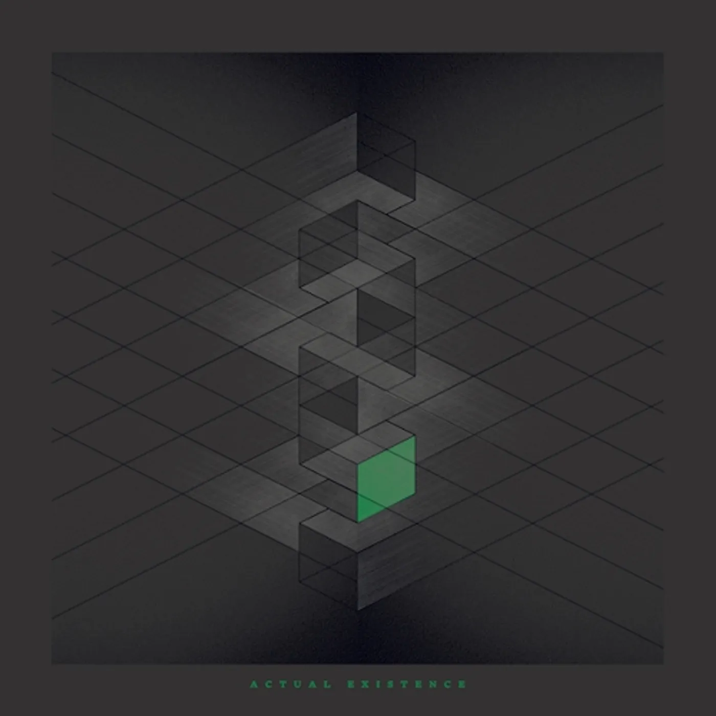 RLYR Actual Existence Vinyl Record