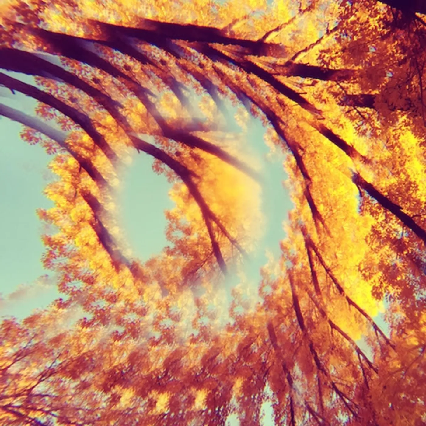 A Hawk And A Hacksaw Forest Bathing Vinyl Record