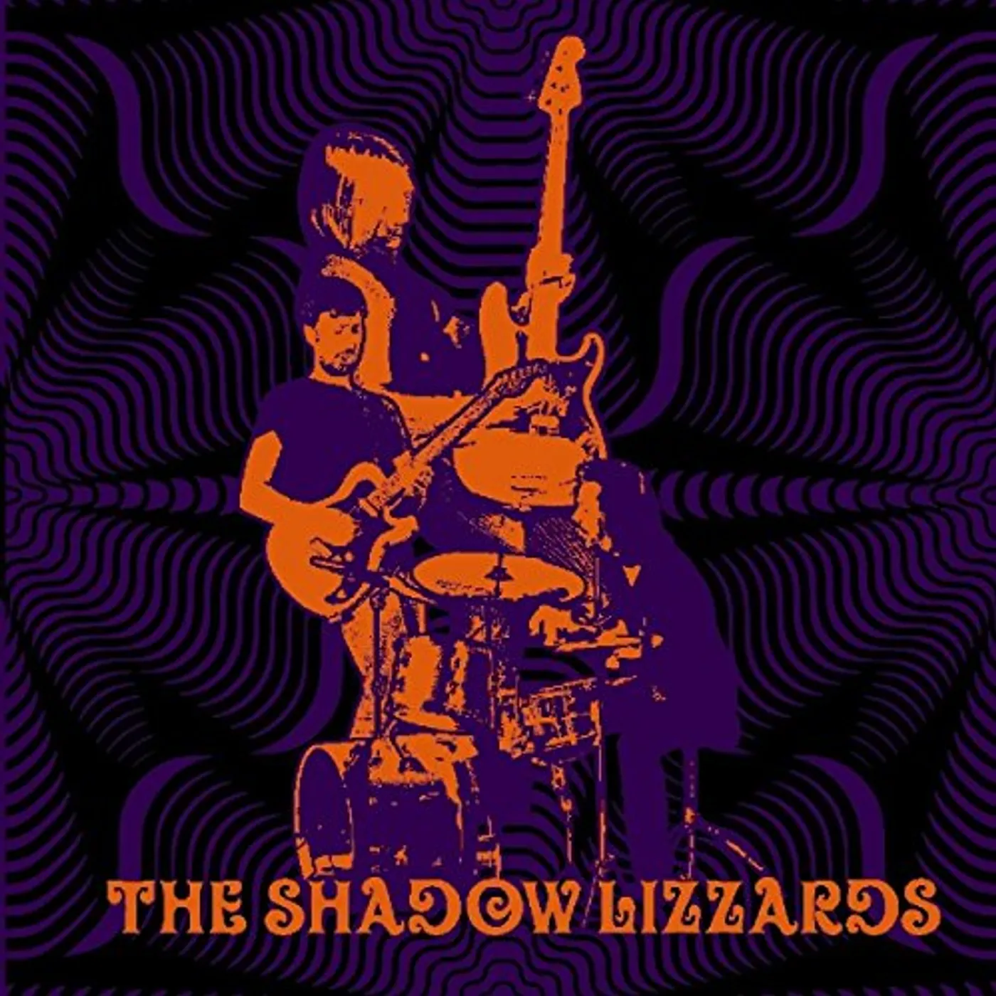 The Shadow Lizzards Vinyl Record