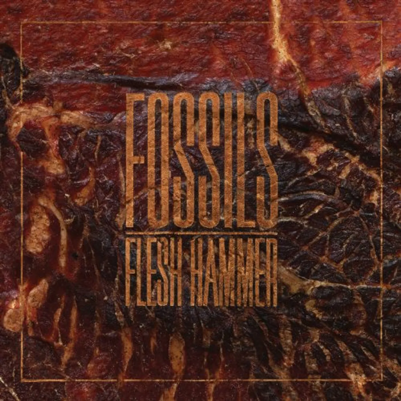 Fossils FLESH HAMMER Vinyl Record