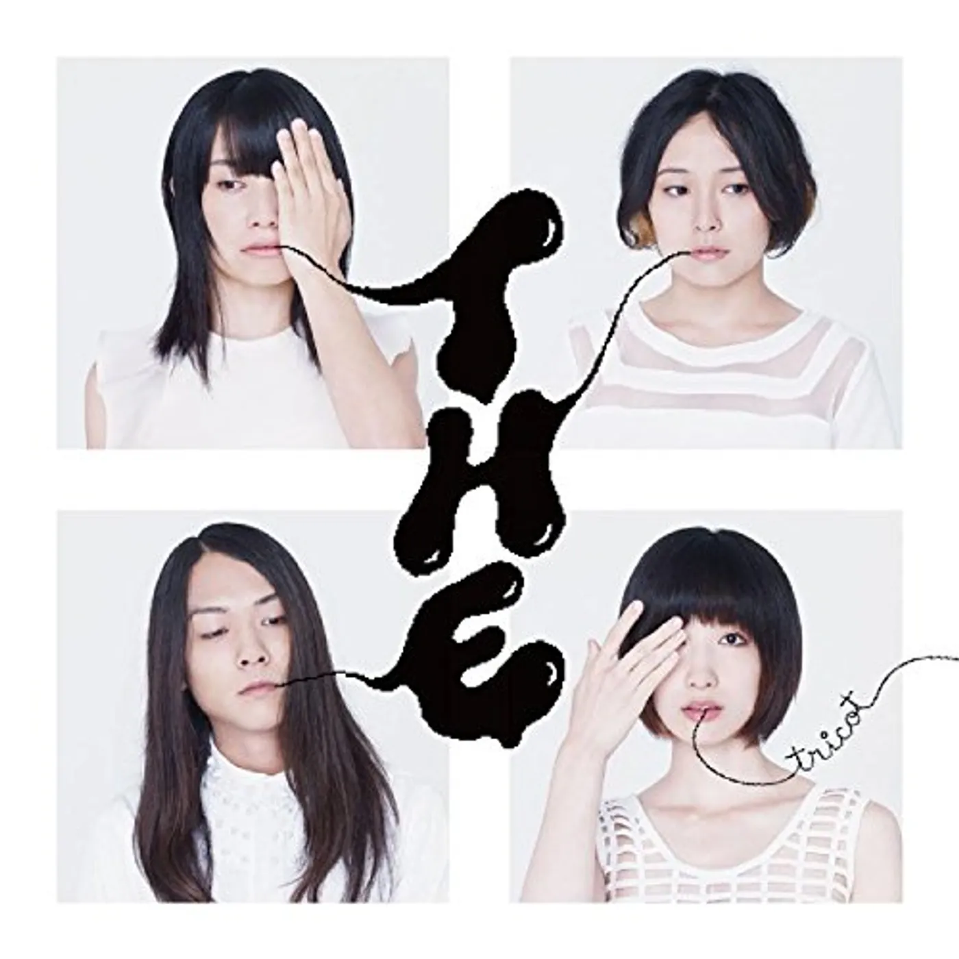 tricot T H E Vinyl Record