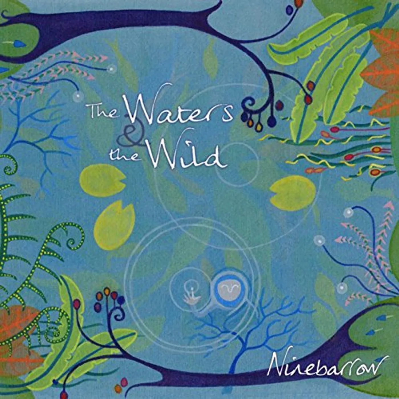 Ninebarrow WATERS & THE WILD CD