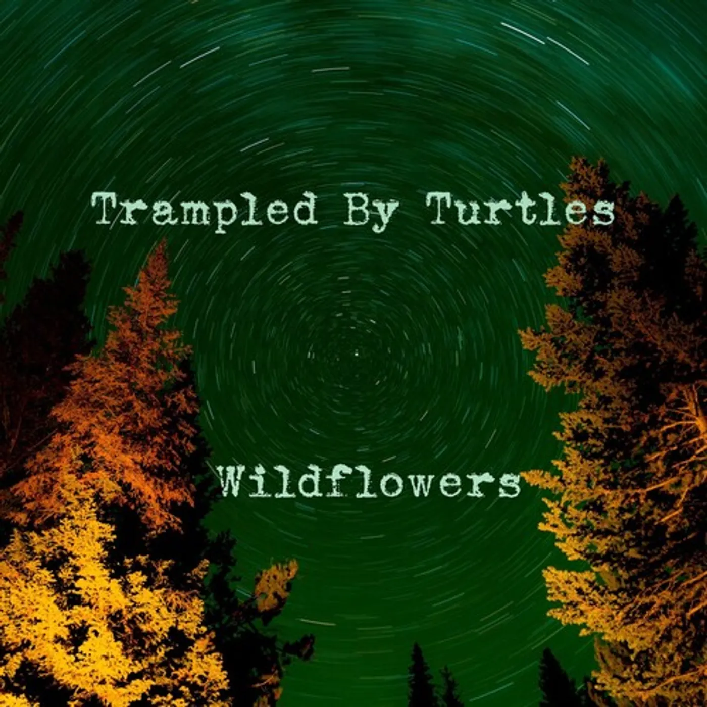 Trampled by Turtles Wildflowers Vinyl Record